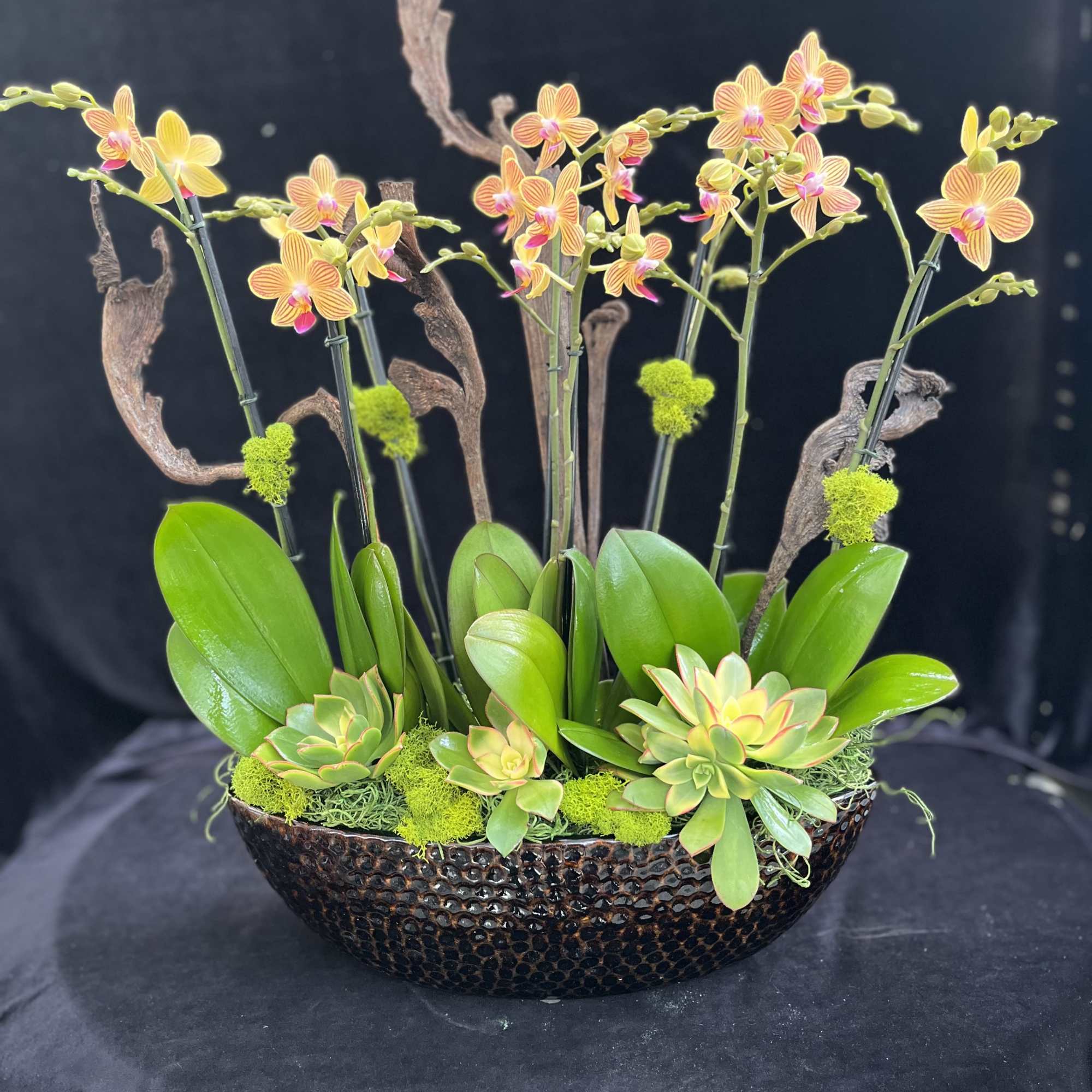 Phalaenopsis design similar to Forever Love with upgrade of bigger pot and