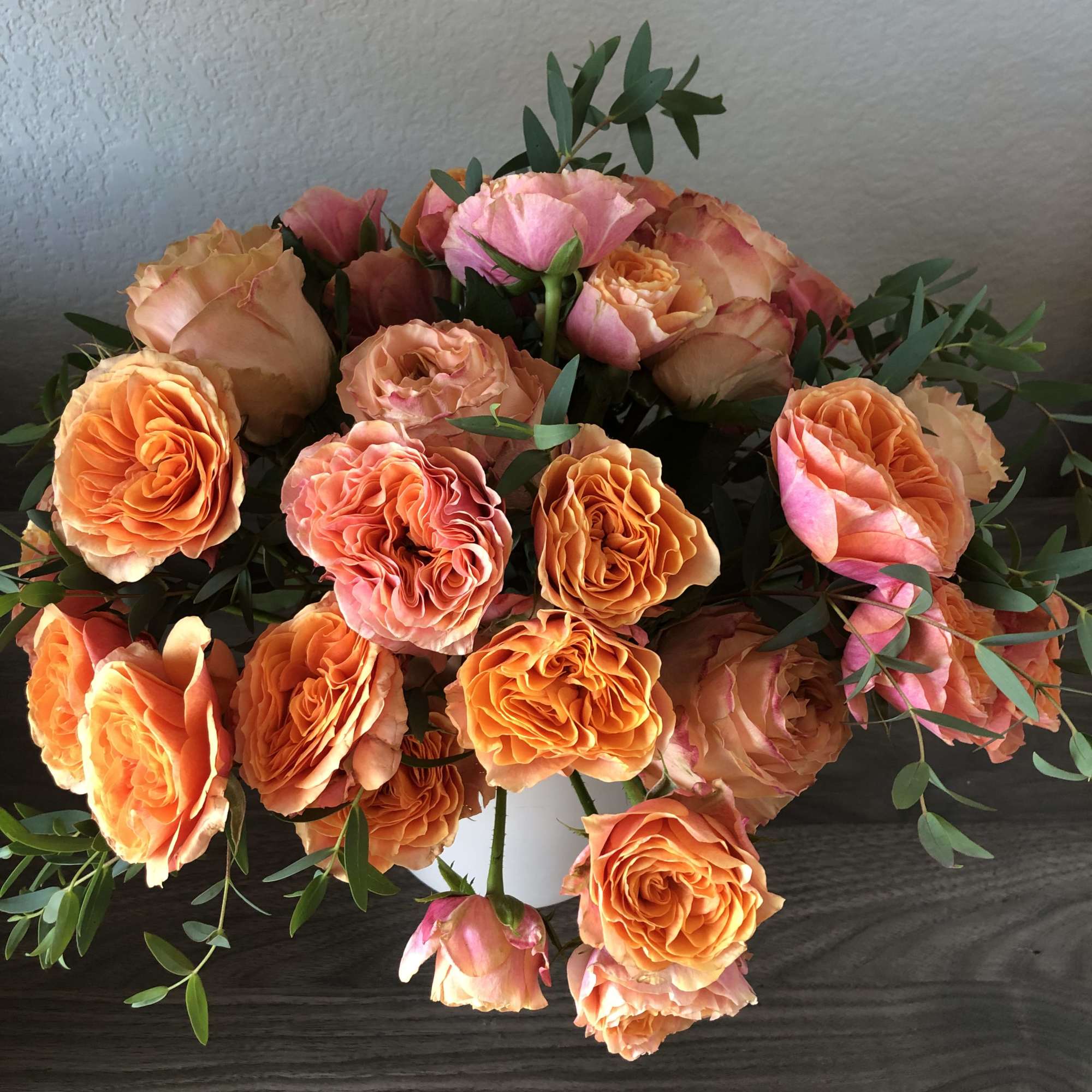 Stunning orange garden style roses.