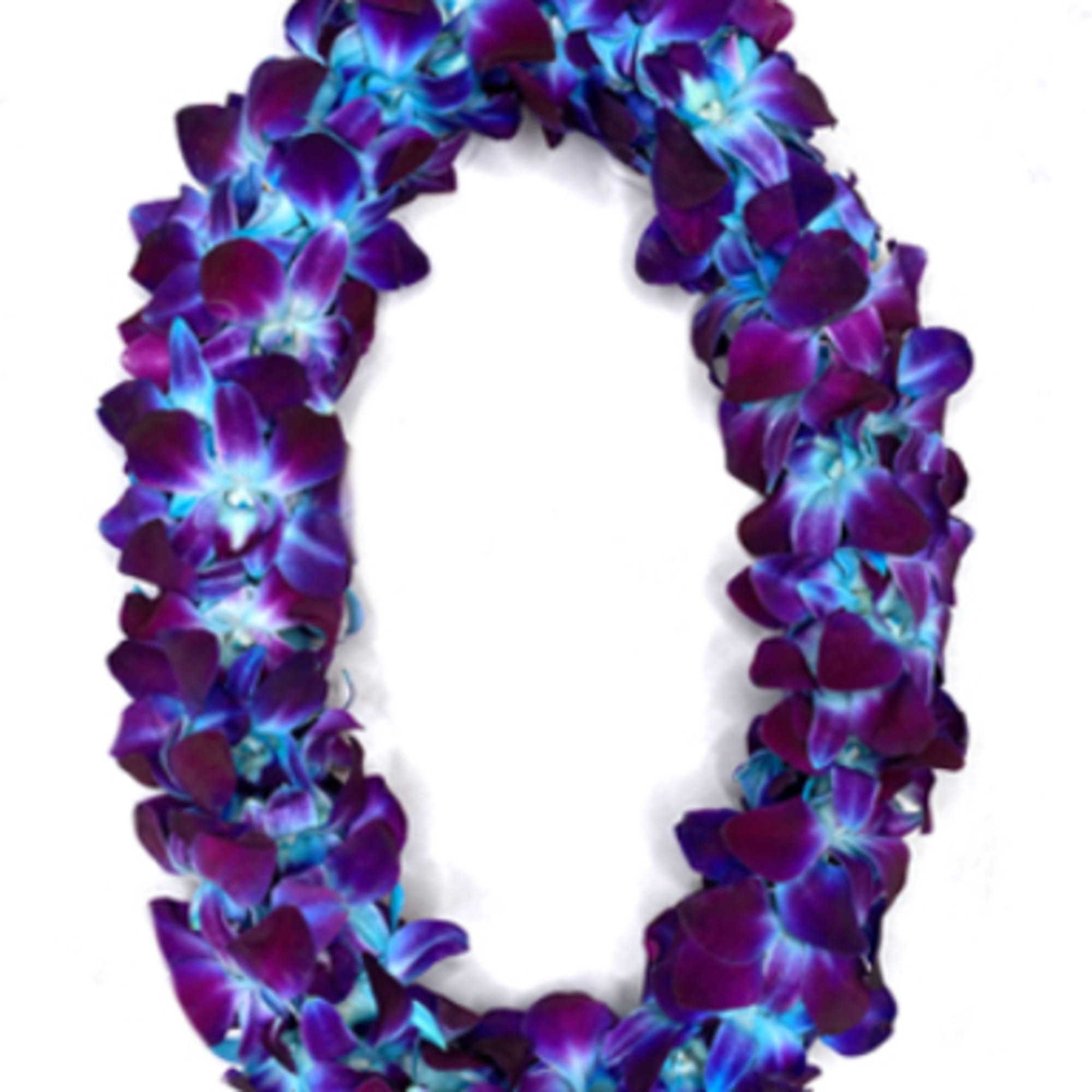 Fresh Handmade Orchid Lei, perfect for Graduations, Weddings and other events. 

Leis