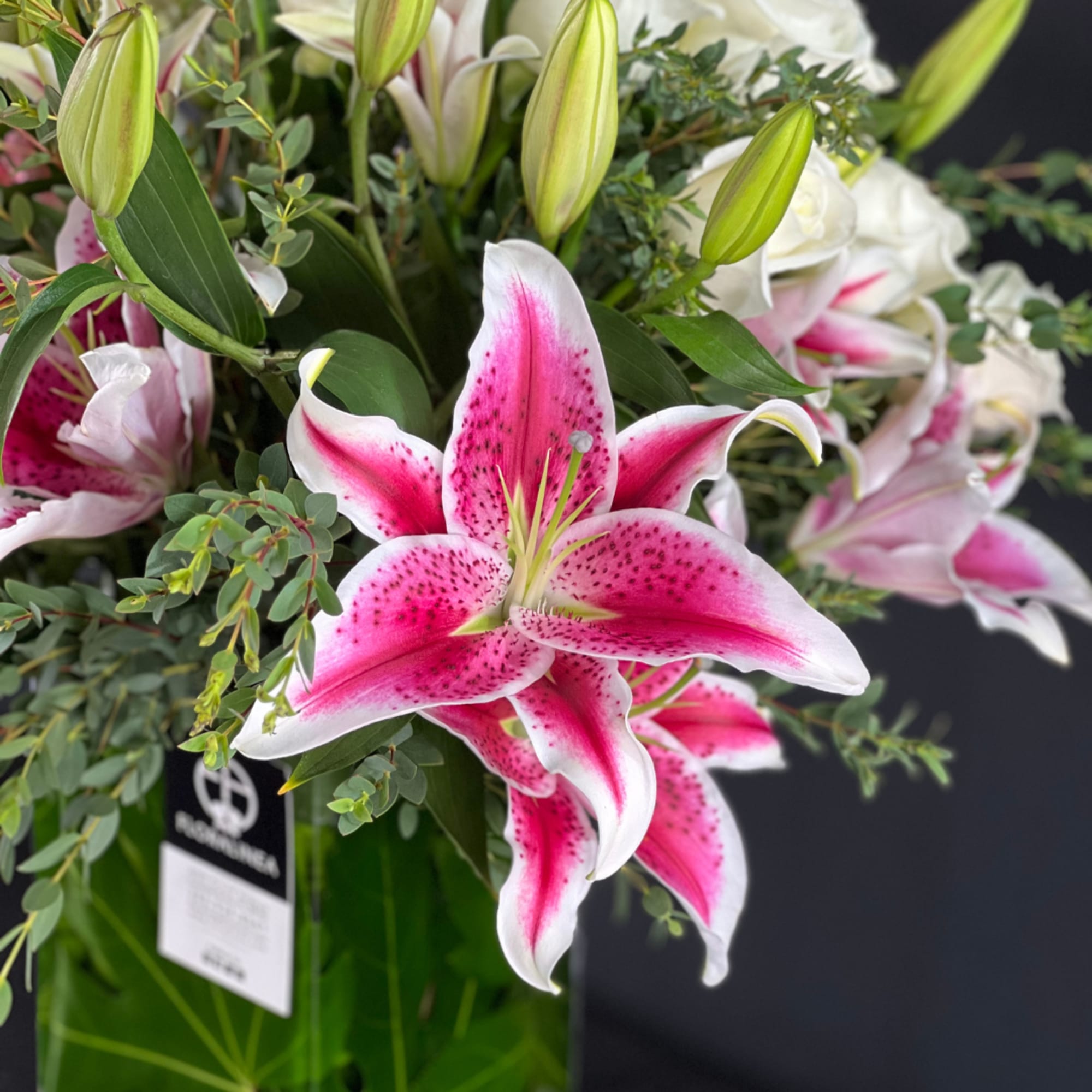 Modern yet classic presentation of White Roses &amp; Stargazer Oriental Lily flowers