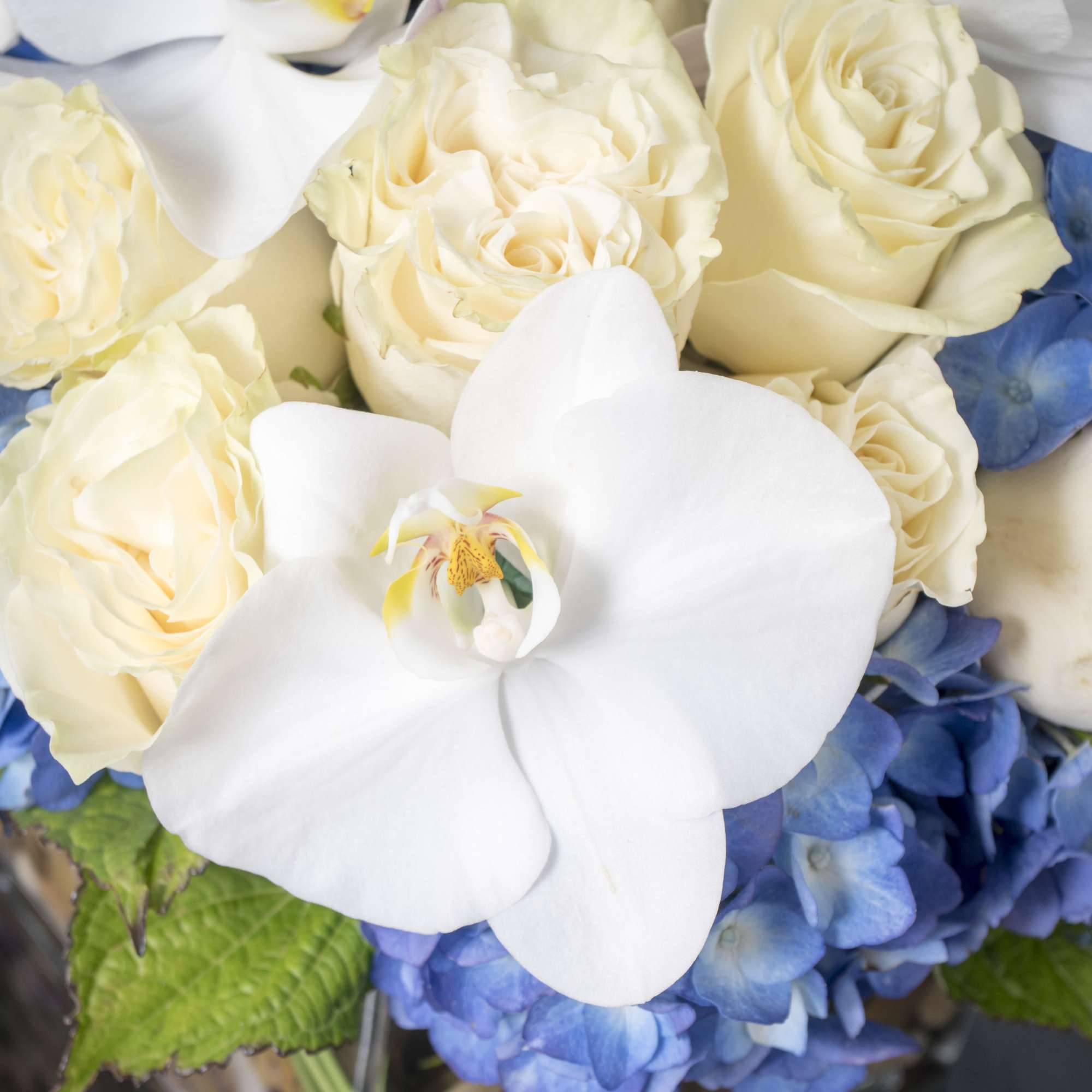 This beach-inspired bouquet captures the blissful beauty of a seaside retreat. Bunches