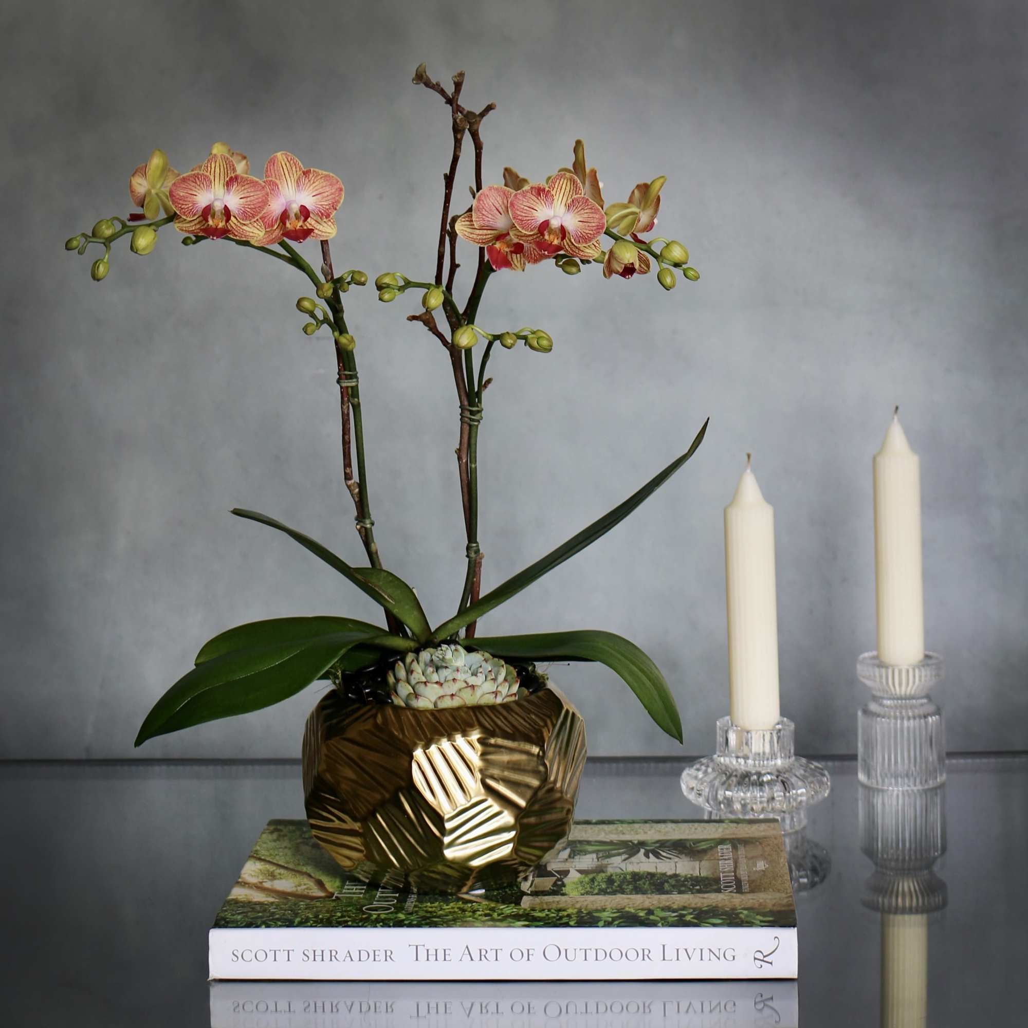 Our peach and bronze mini Orchids are a unique touch to a