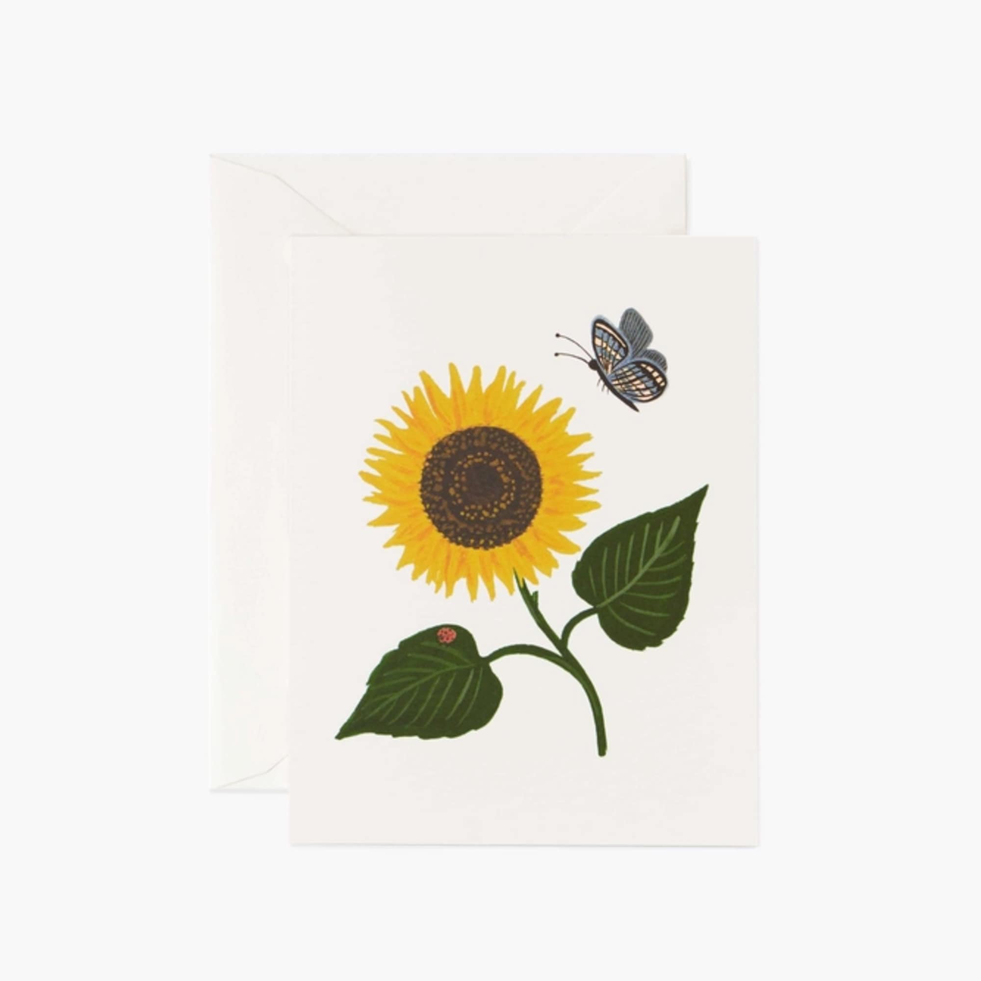 Send a thoughtful message on any occasion with our collection of vibrant