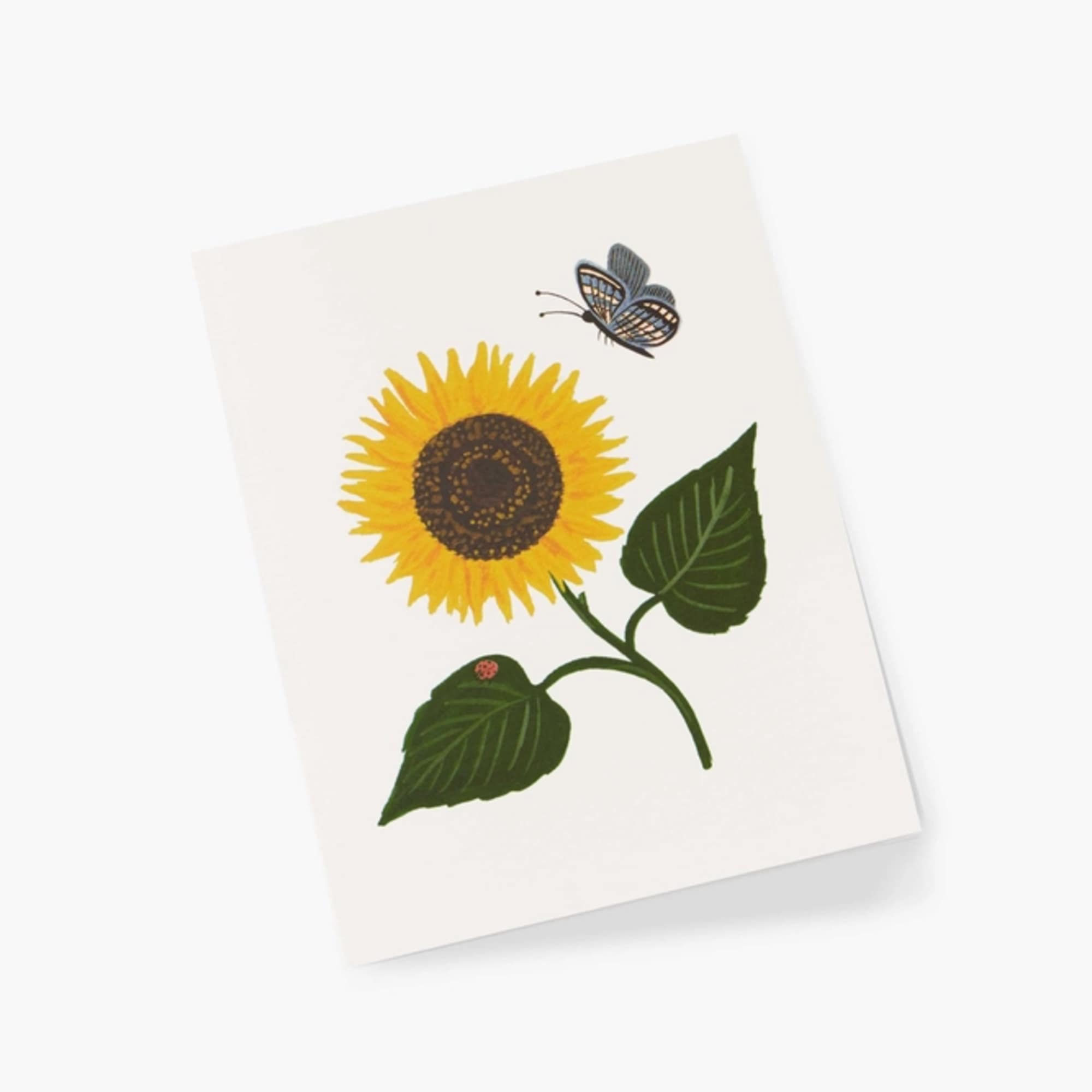 Send a thoughtful message on any occasion with our collection of vibrant