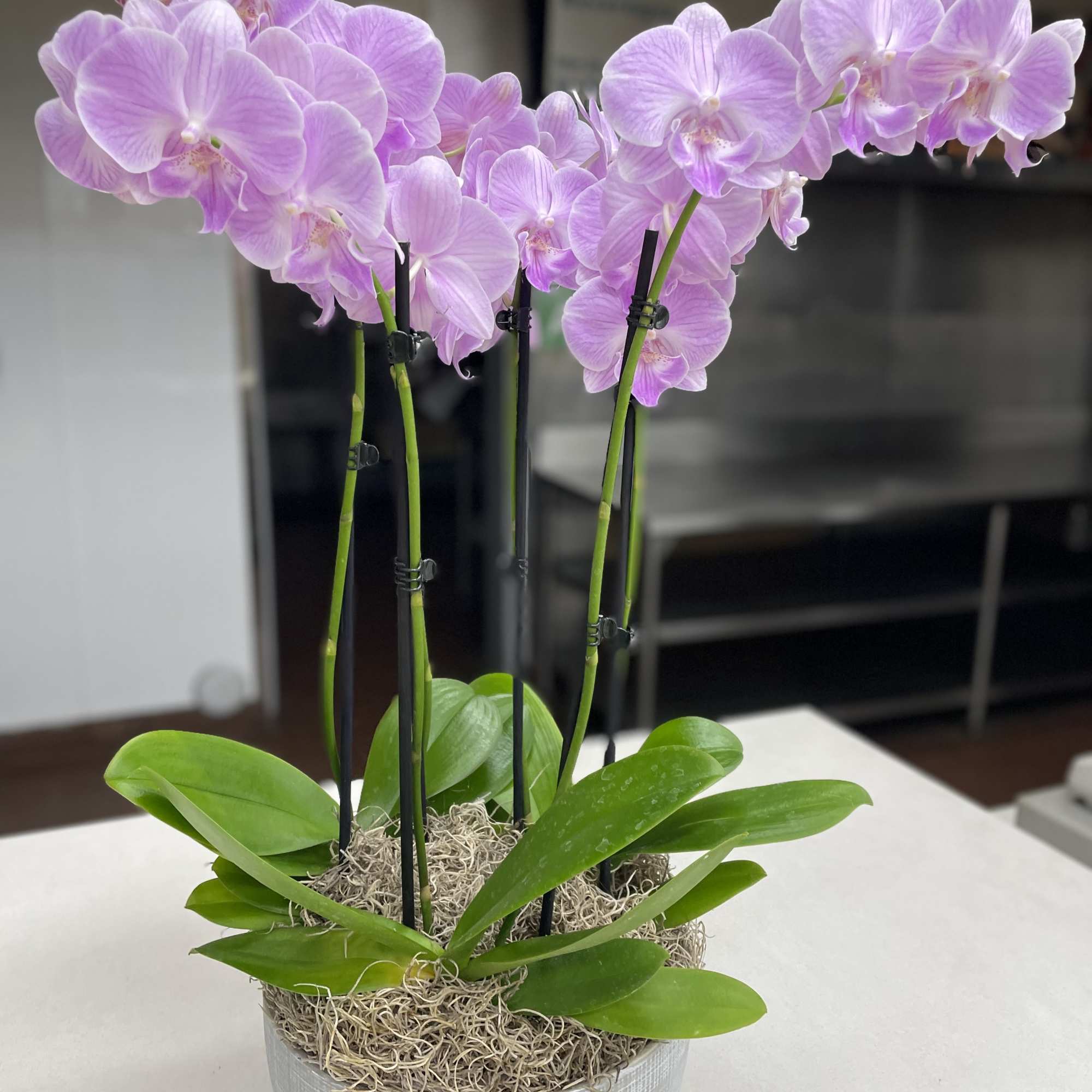 Last minute request for same day ? Call us directly ! We