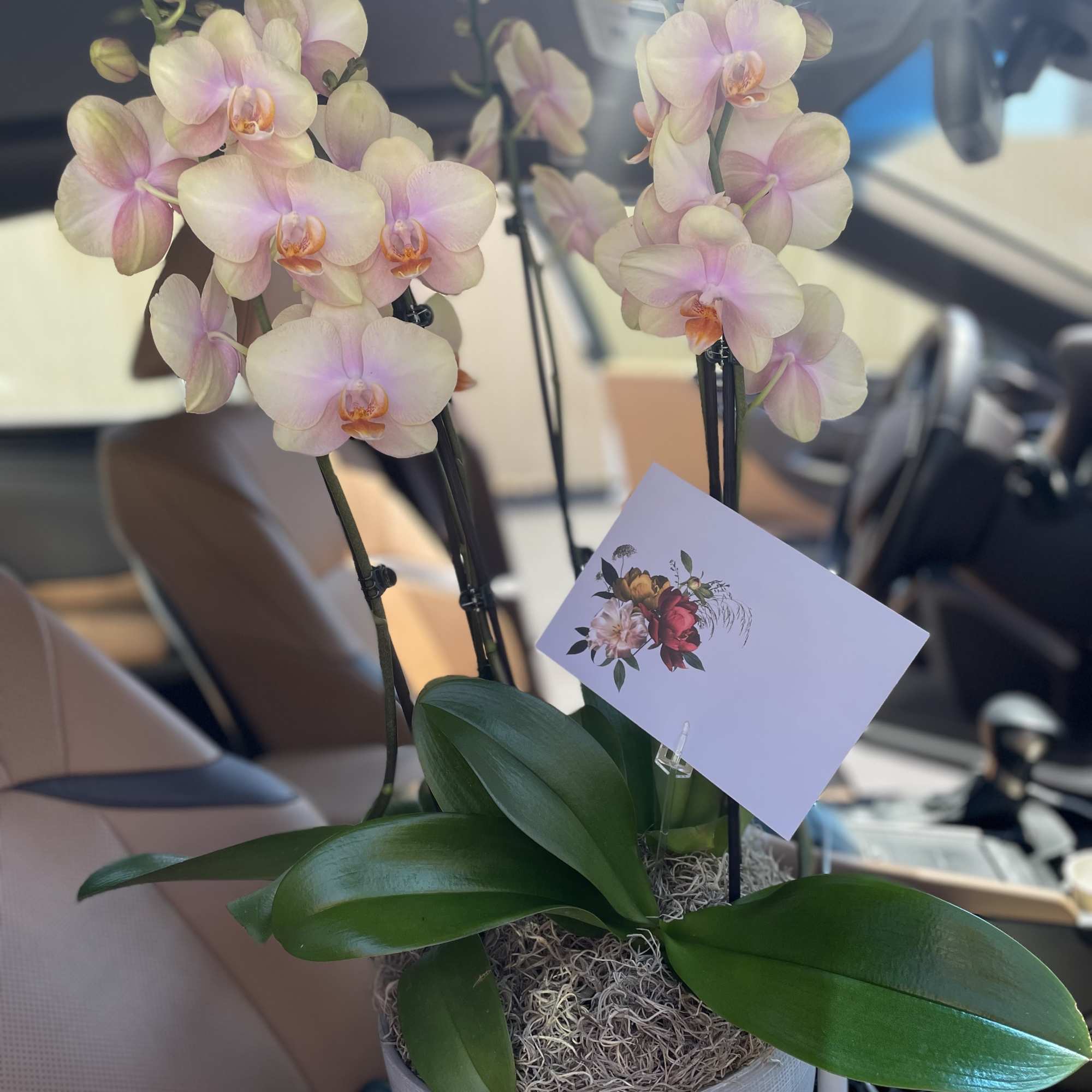 Last minute request for same day ? Call us directly ! We