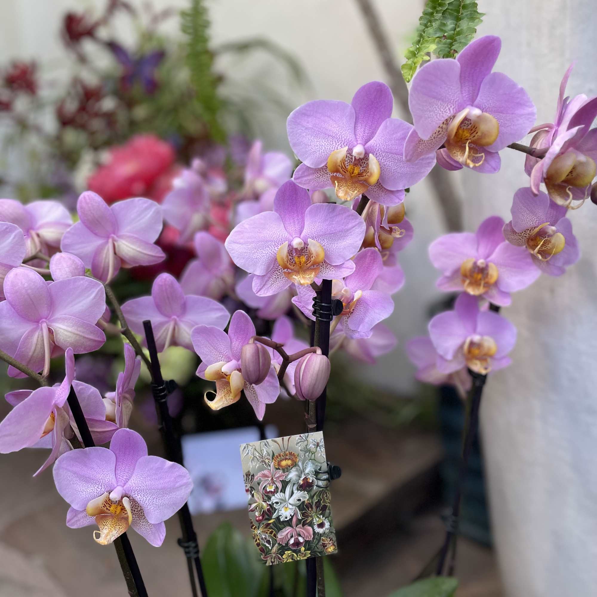 Last minute request for same day ? Call us directly ! We