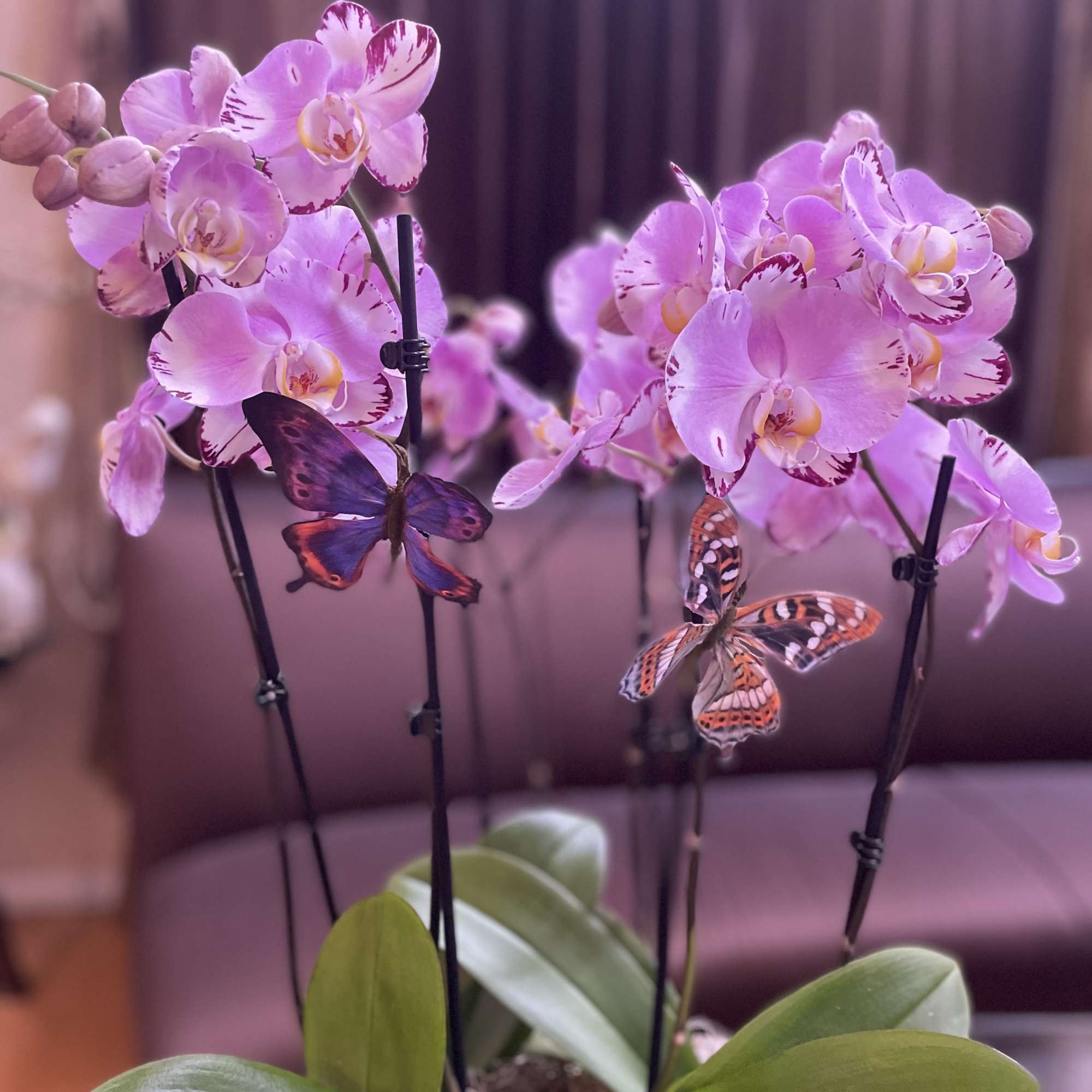 Last minute request for same day ? Call us directly ! We