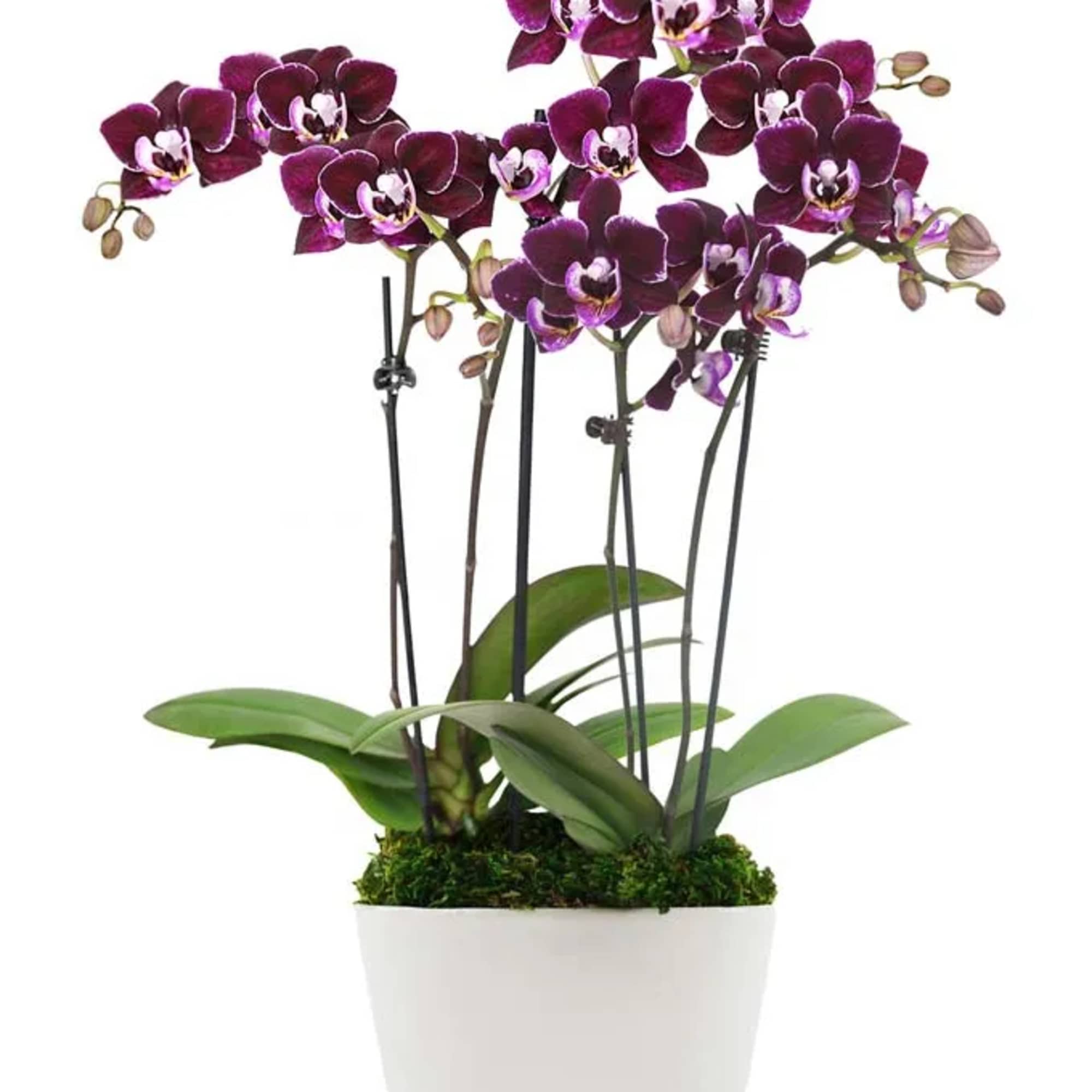 Last minute request for same day ? Call us directly ! We