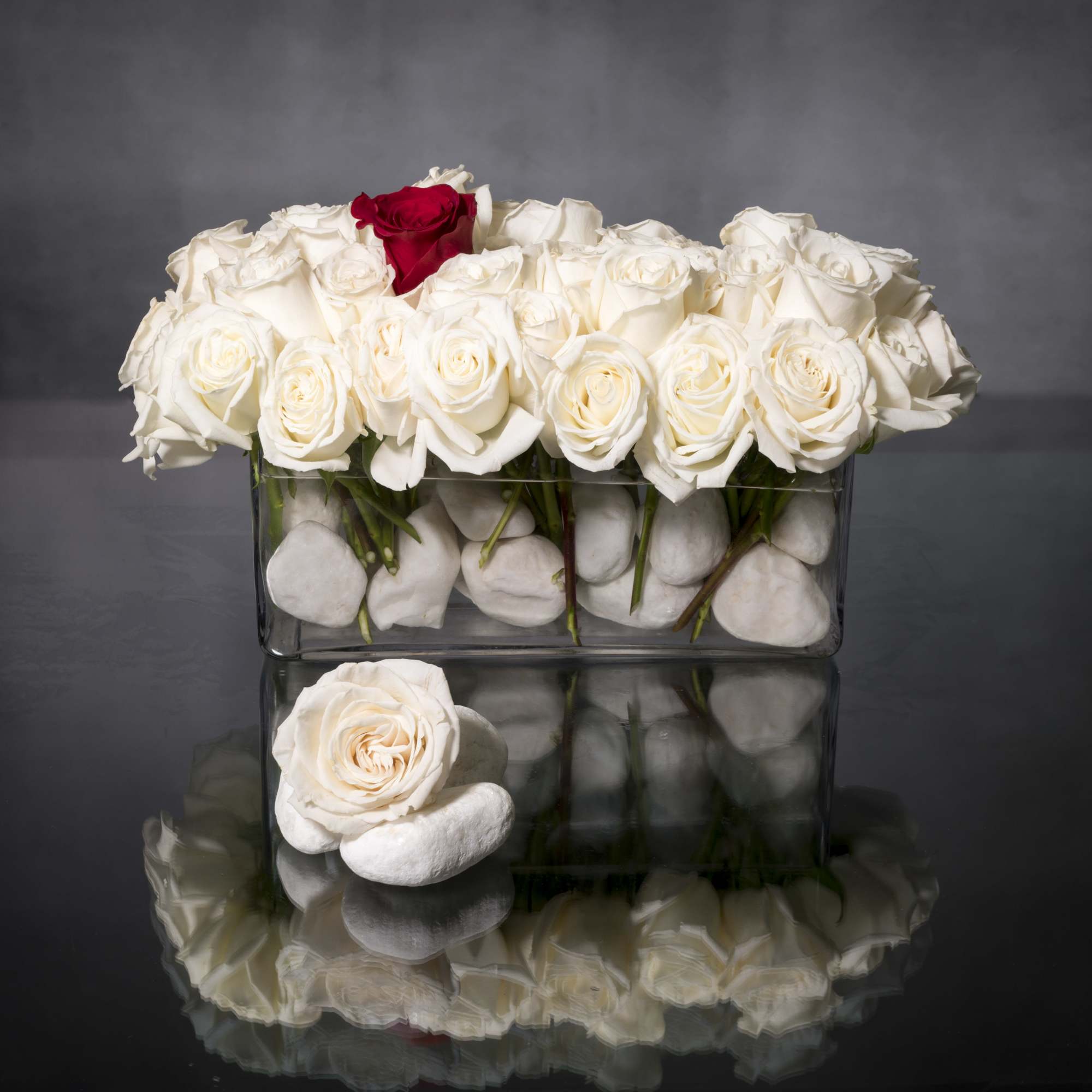 This sophisticated design features Creamy White Roses with one Deep Red Rose