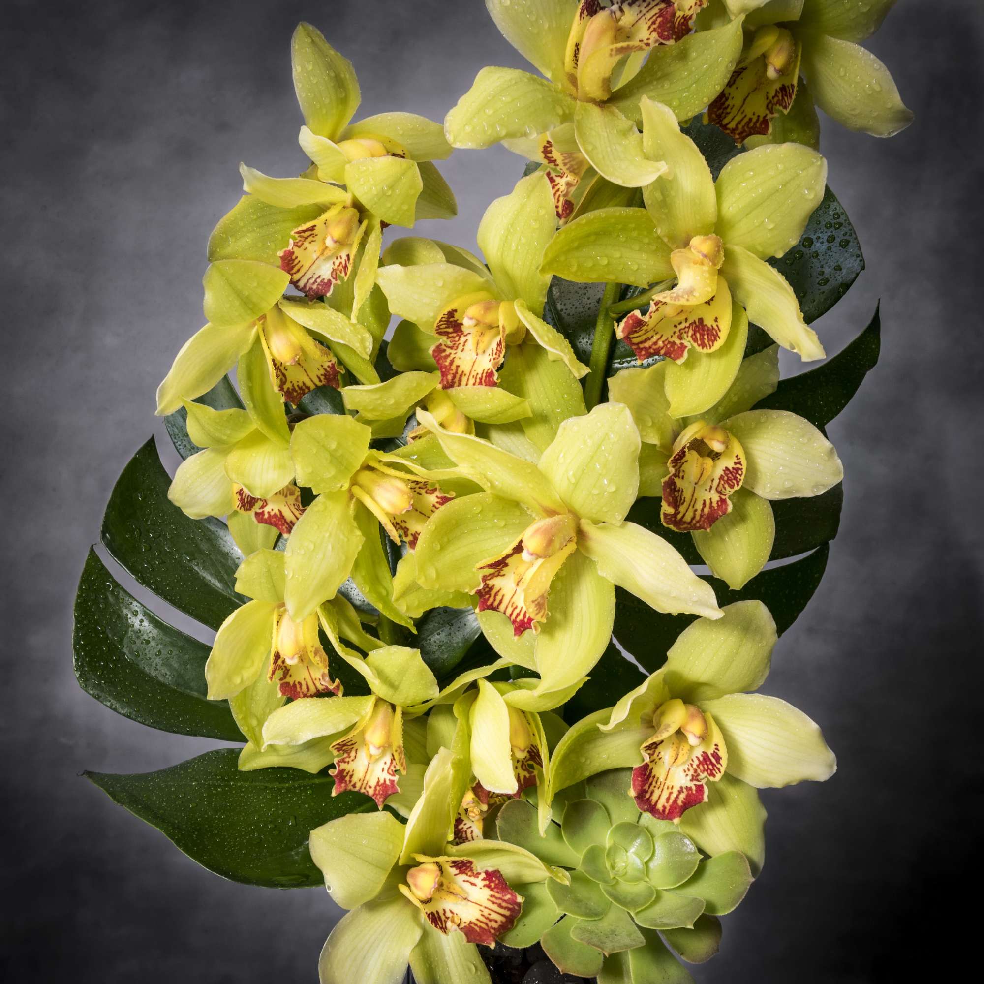 This pleasant arrangement has the dimensions of: a head of 18&quot; and