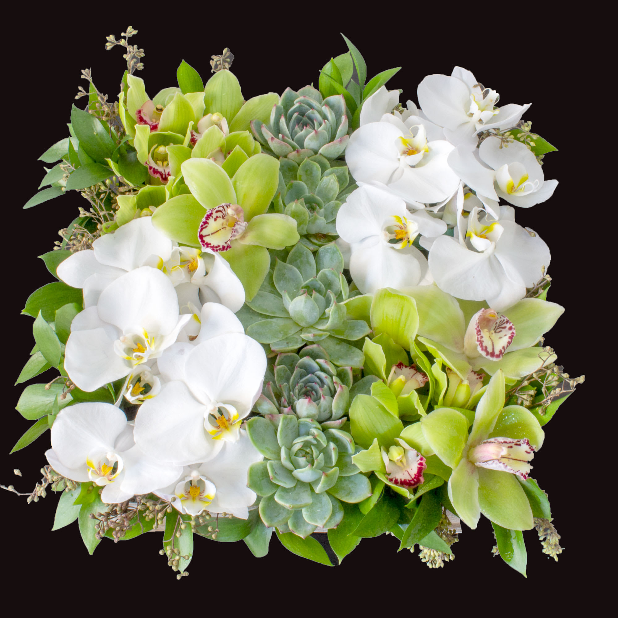 The Eternal Garden is the perfect, practical gift. Show your special someone