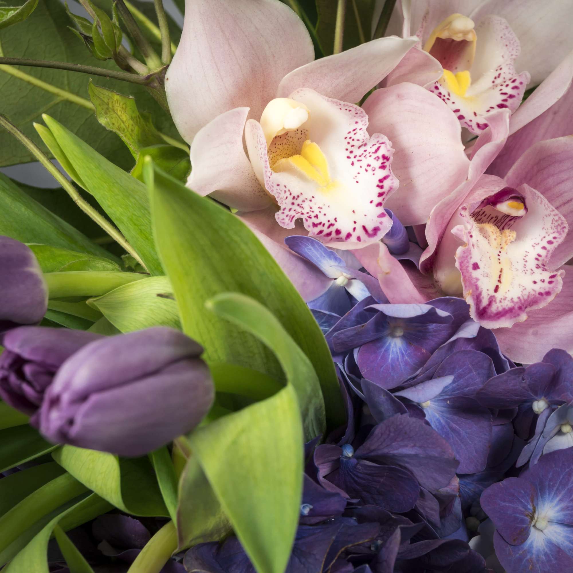 Express your love with this beautiful floral collage of lavender Tulips, pink