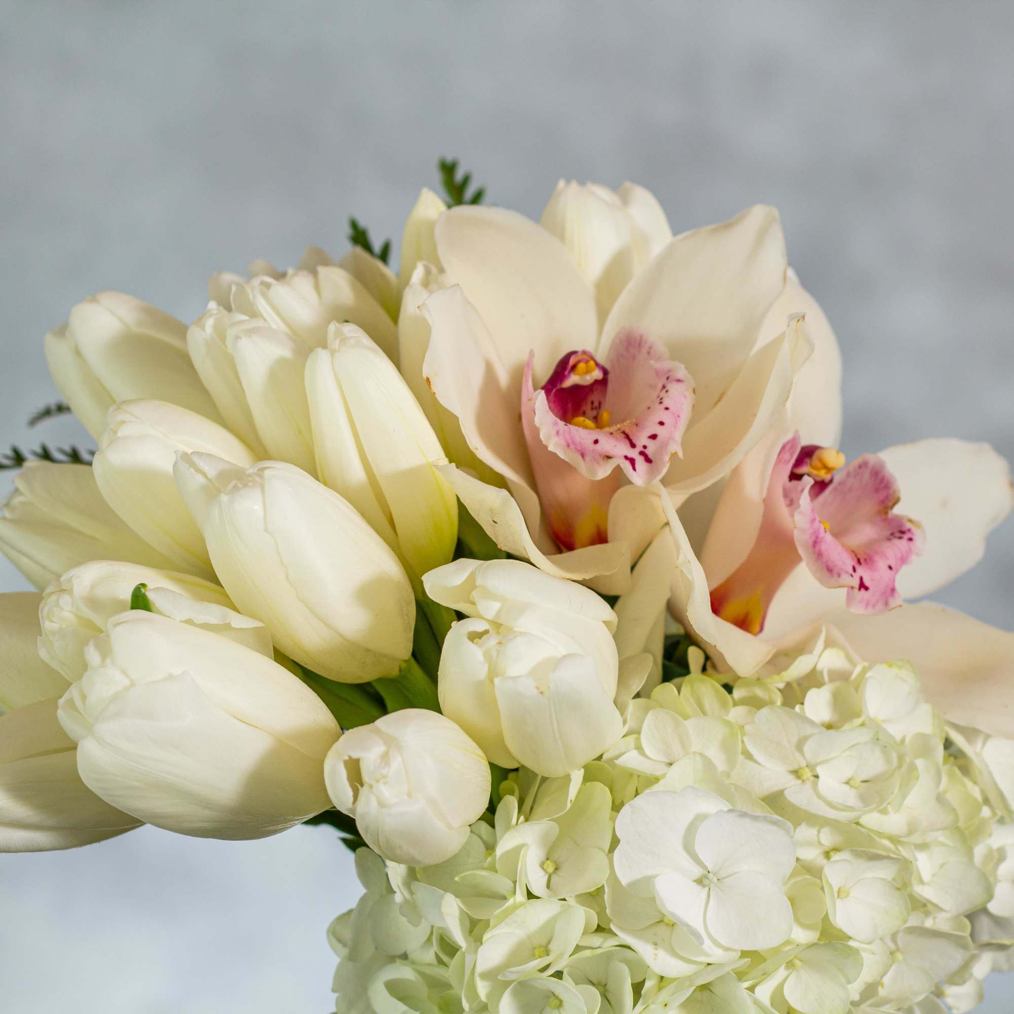 My Beverly Hills Florist presents a dramatic display of Dutch Tulips and