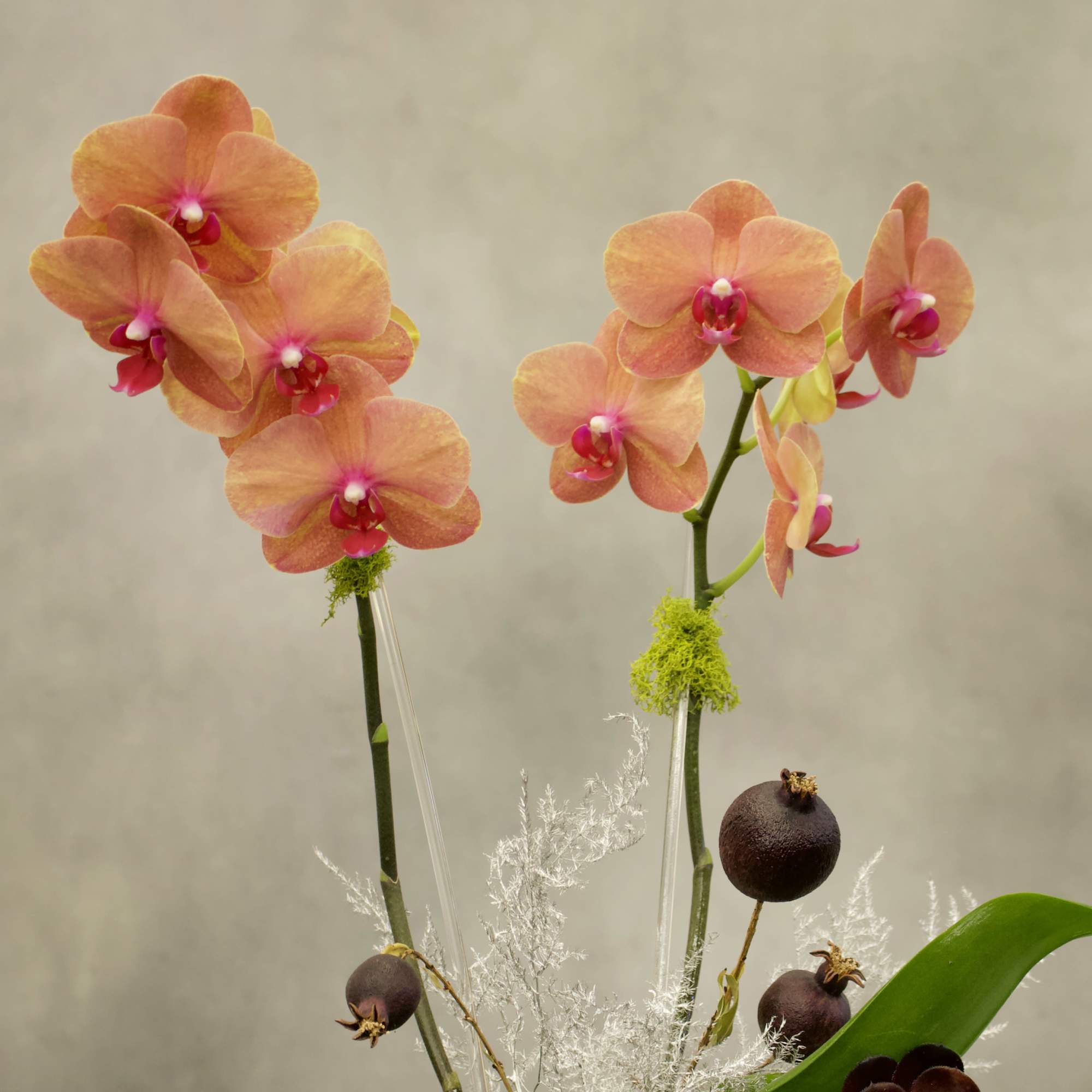 Welcome the fall season with this mini peach orchids nested in the