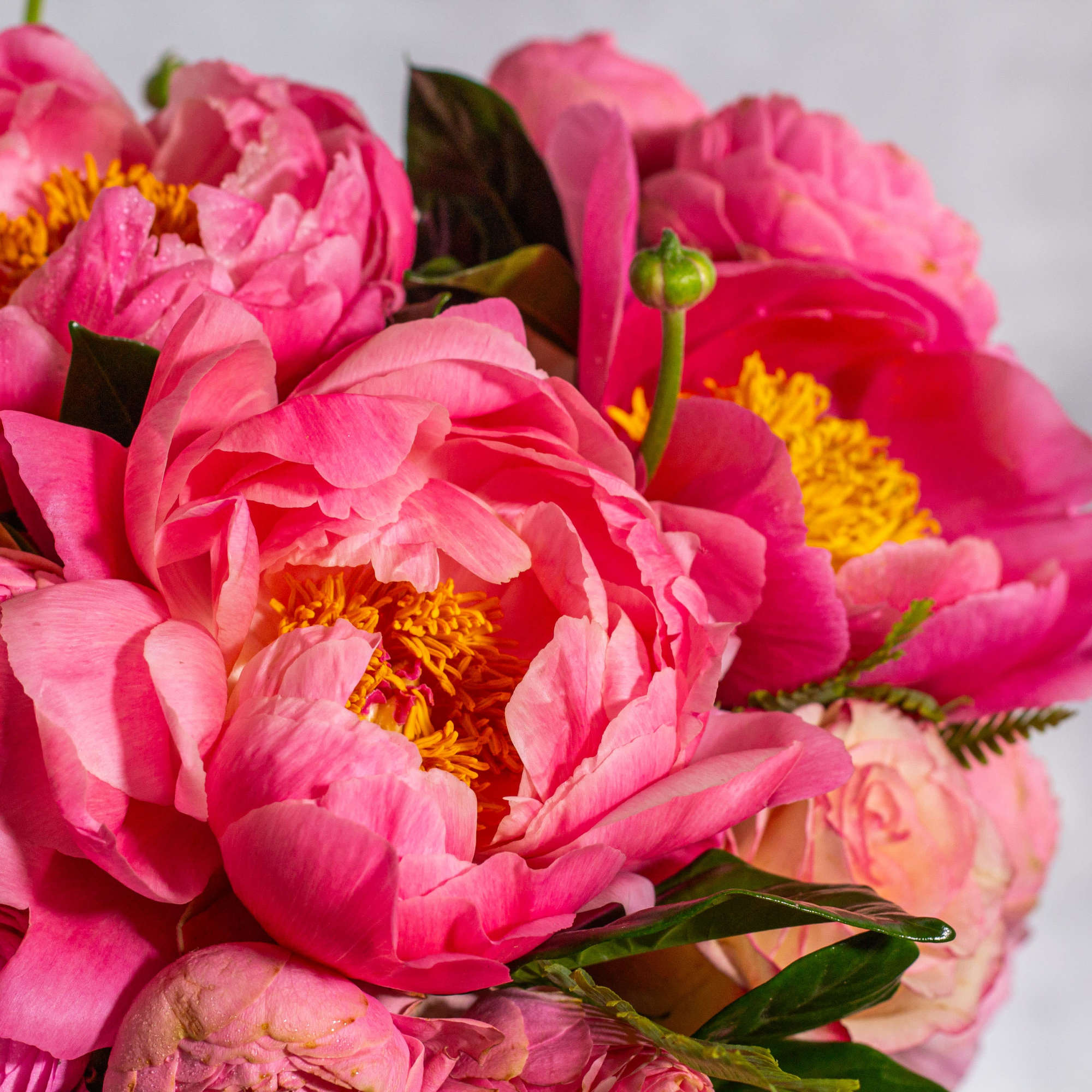 Indulge in a harmonious symphony of natural beauty with our exquisite floral