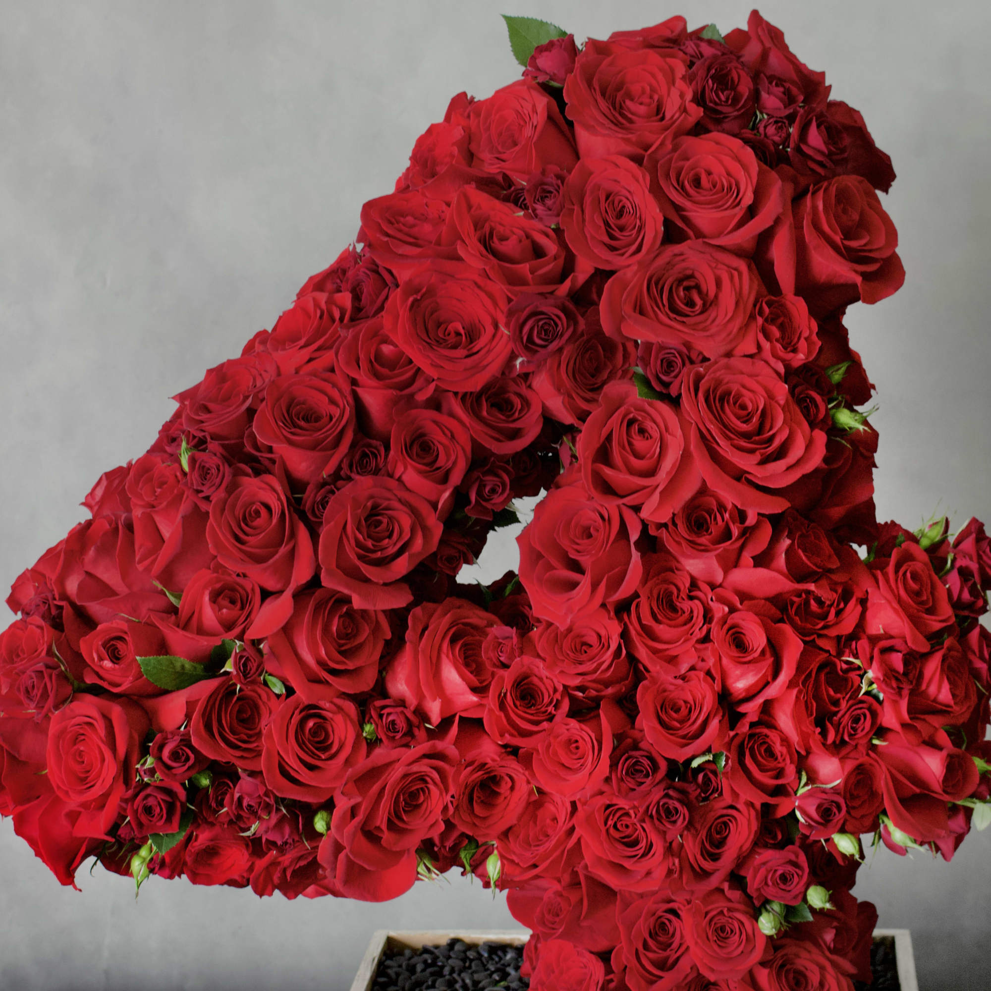 A beautiful number covered in various types of Red Roses, about 200