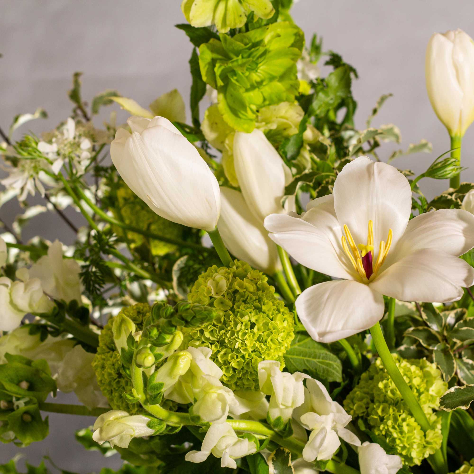 The beautiful arrangement features long white tulips, snapdragons, boulevard beautiful umbrella ferns