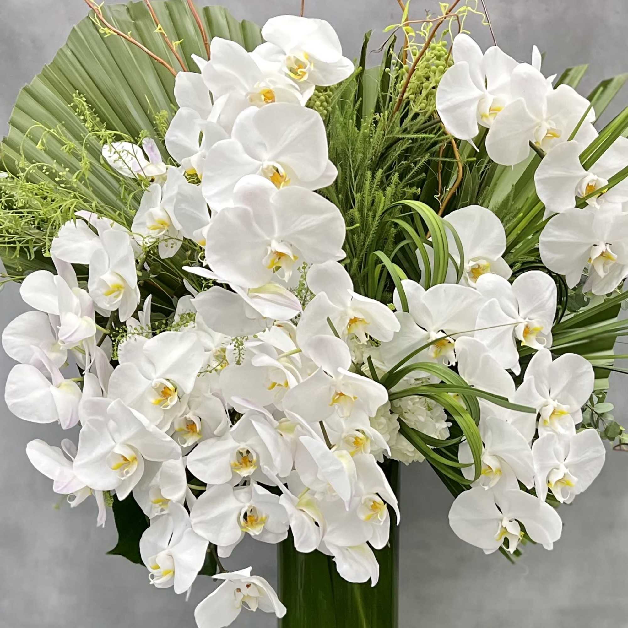 Simple and elegant... lovely white Orchids stand tall in this slender cylinder