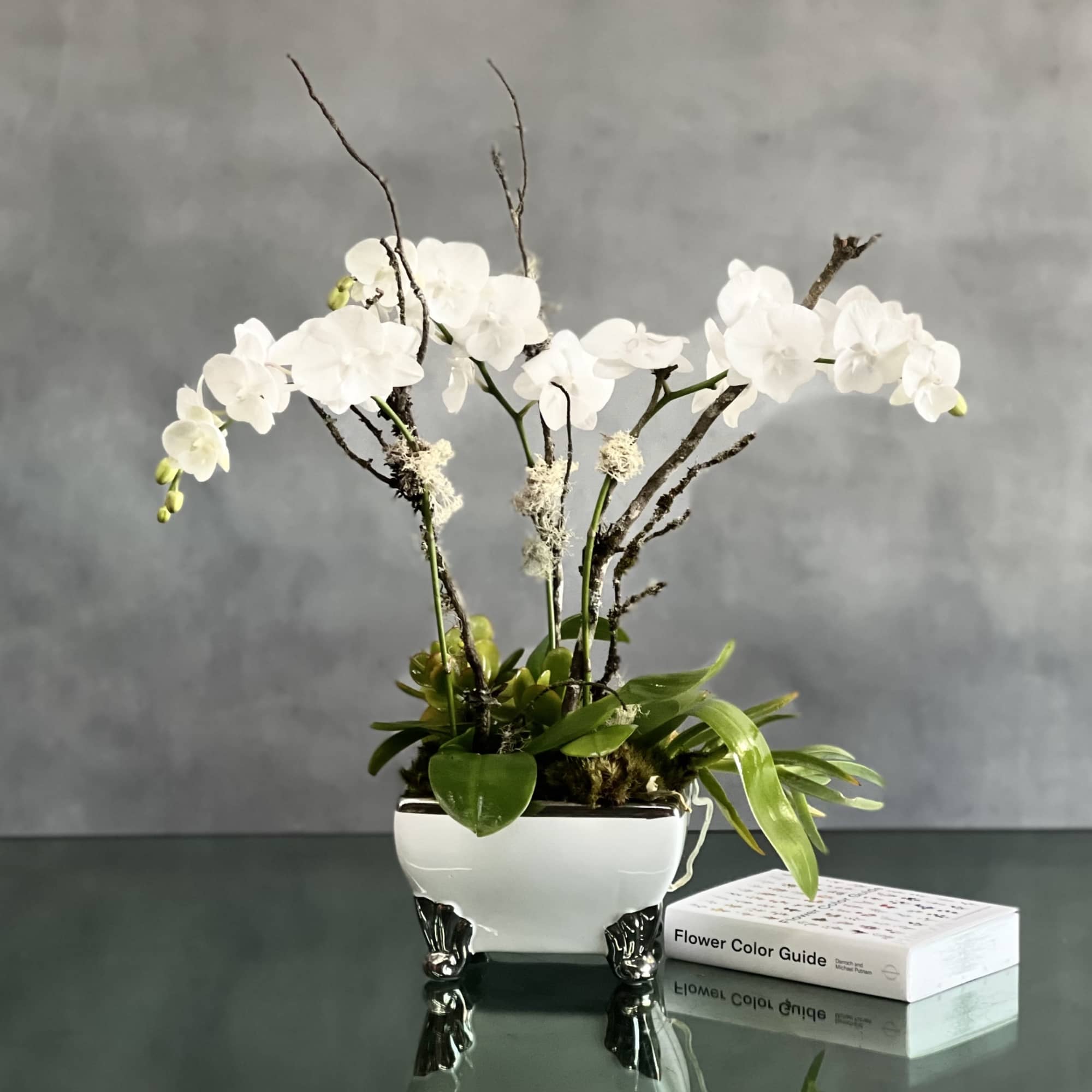 These elegant mini white Orchids dancing above a white ceramic pot are