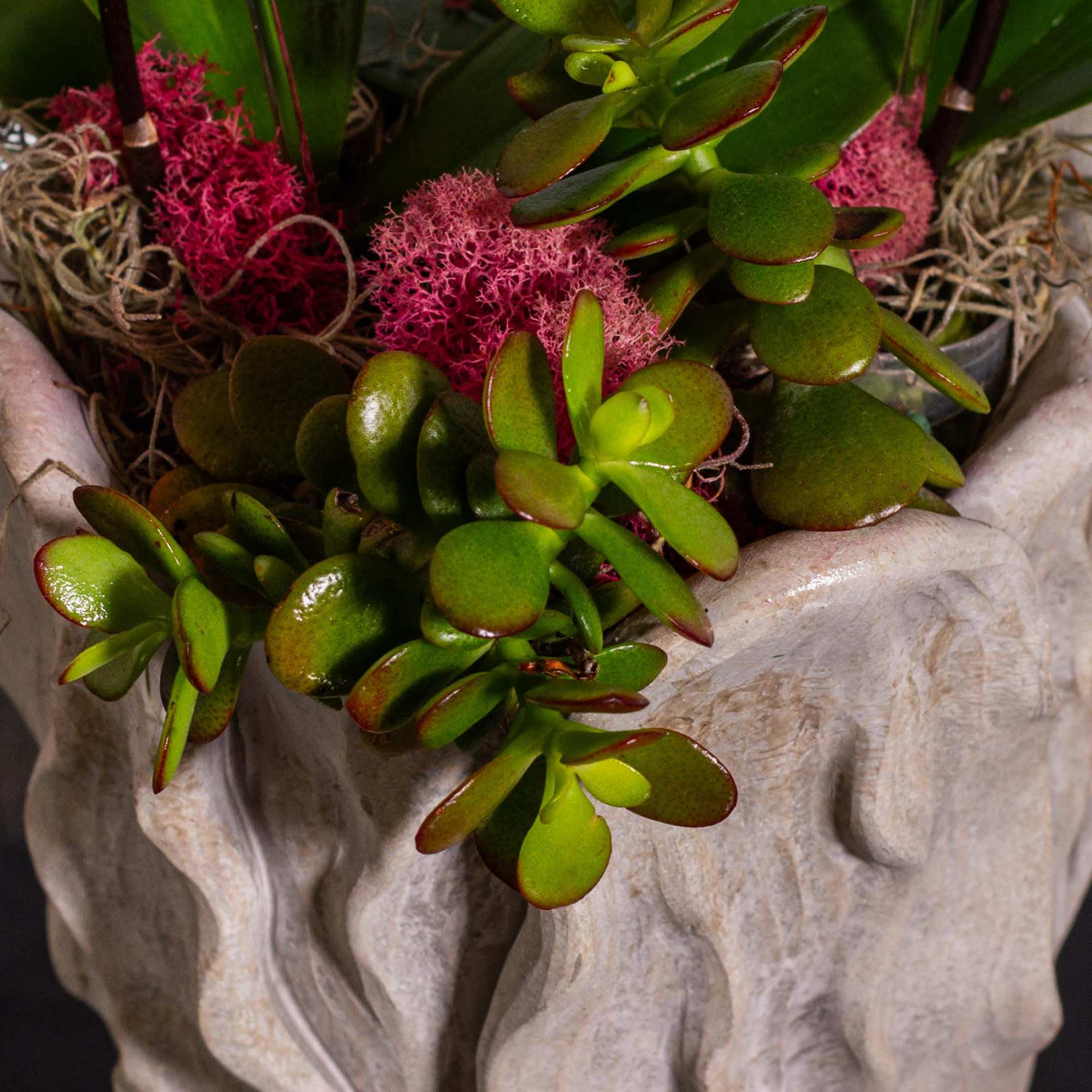 Immerse yourself in the natural beauty of our exquisite floral arrangement featuring