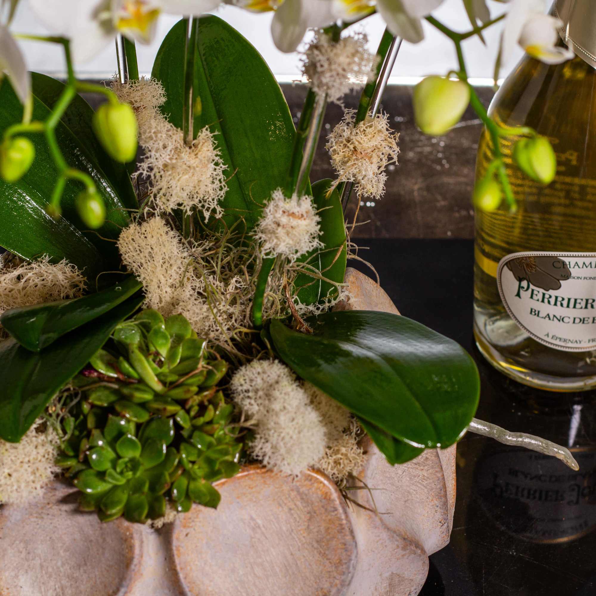 Delight in the exquisite beauty of our Orchid Splendor arrangement, featuring Phalaenopsis