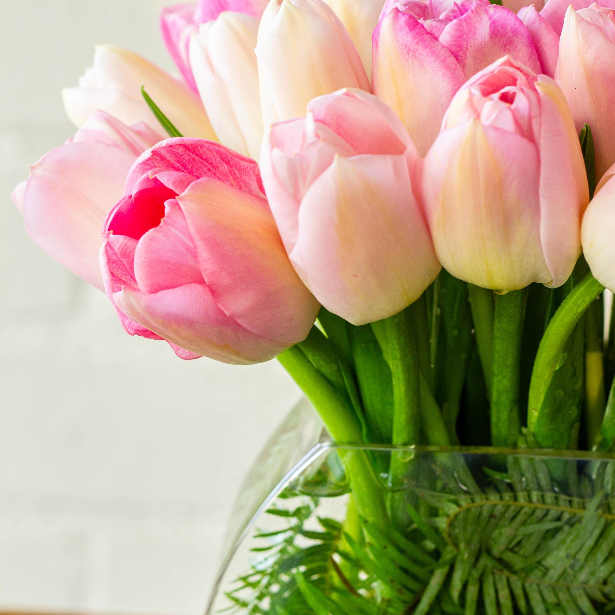 The beautiful arrangement showcases 50 tulips gathered in a modern vase, creating