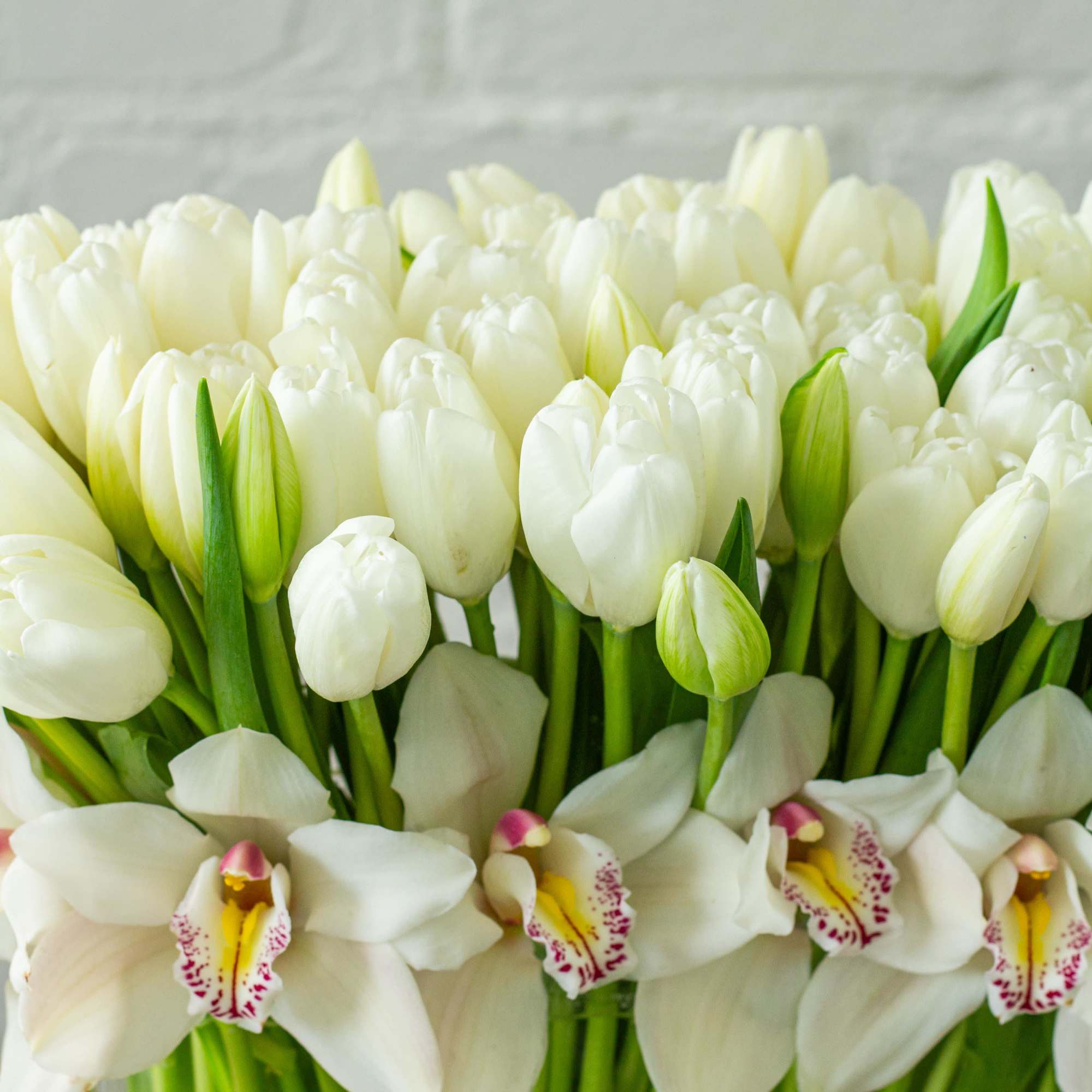 Step into contemporary elegance with this modern floral arrangement featuring over 100