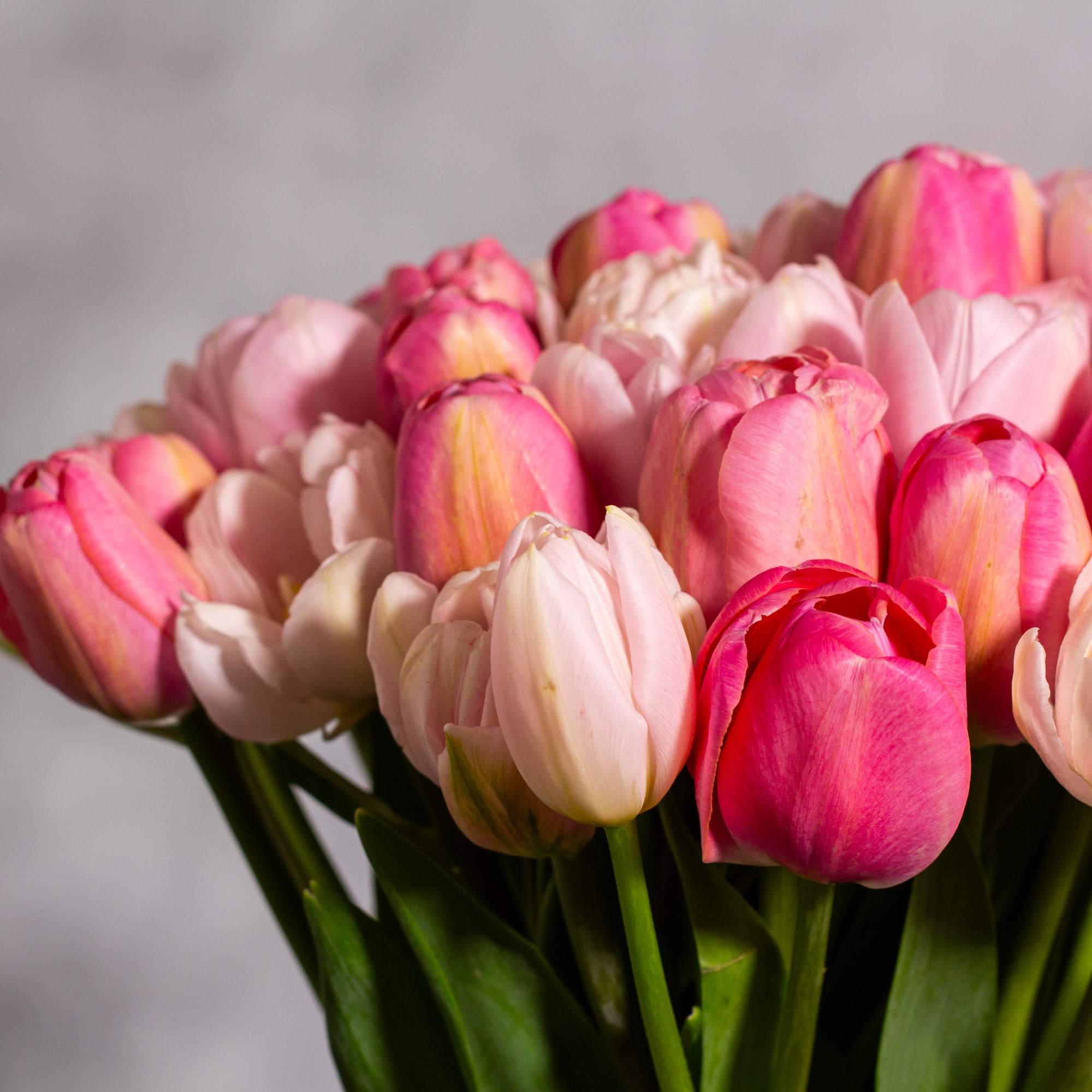 Envision a stunning floral arrangement comprised of fifty light pink and various