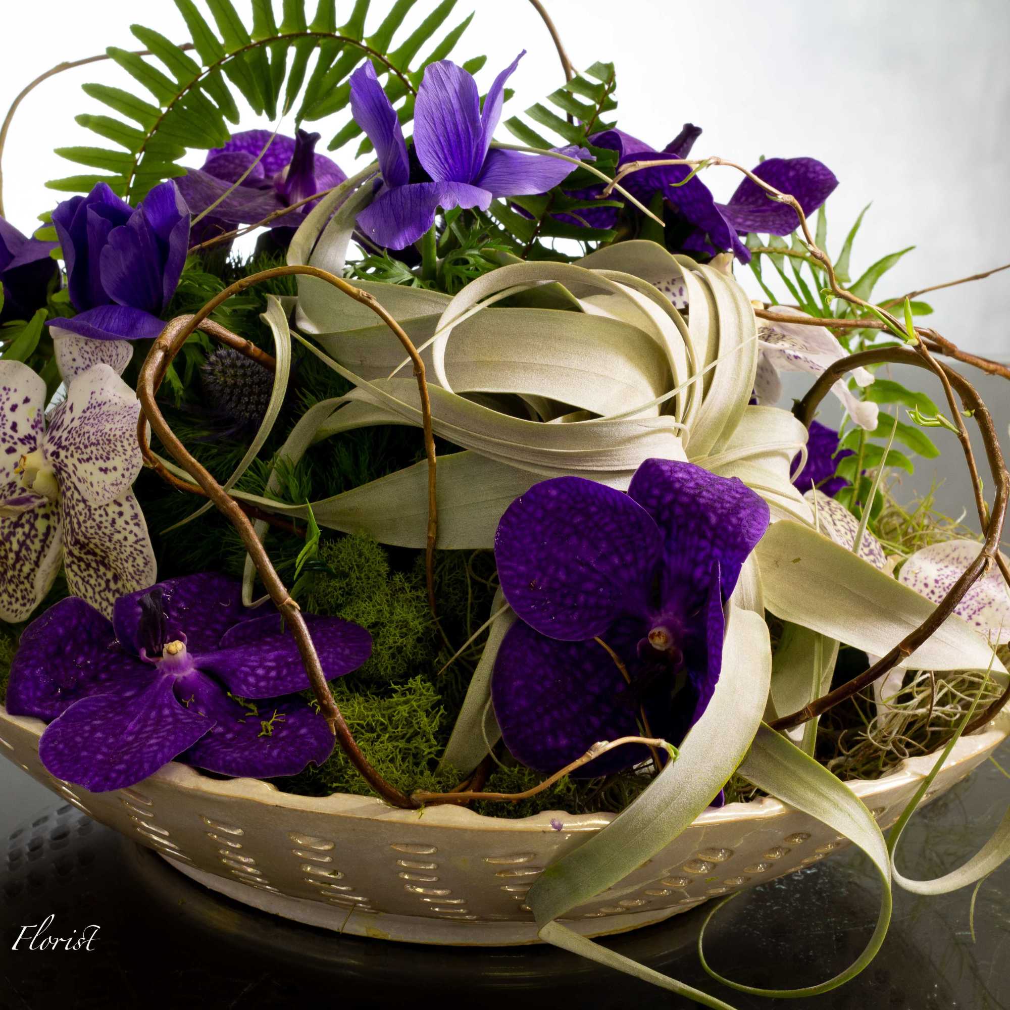 This contemporary display featuring unique air plant coupled with vibrant purple vanda