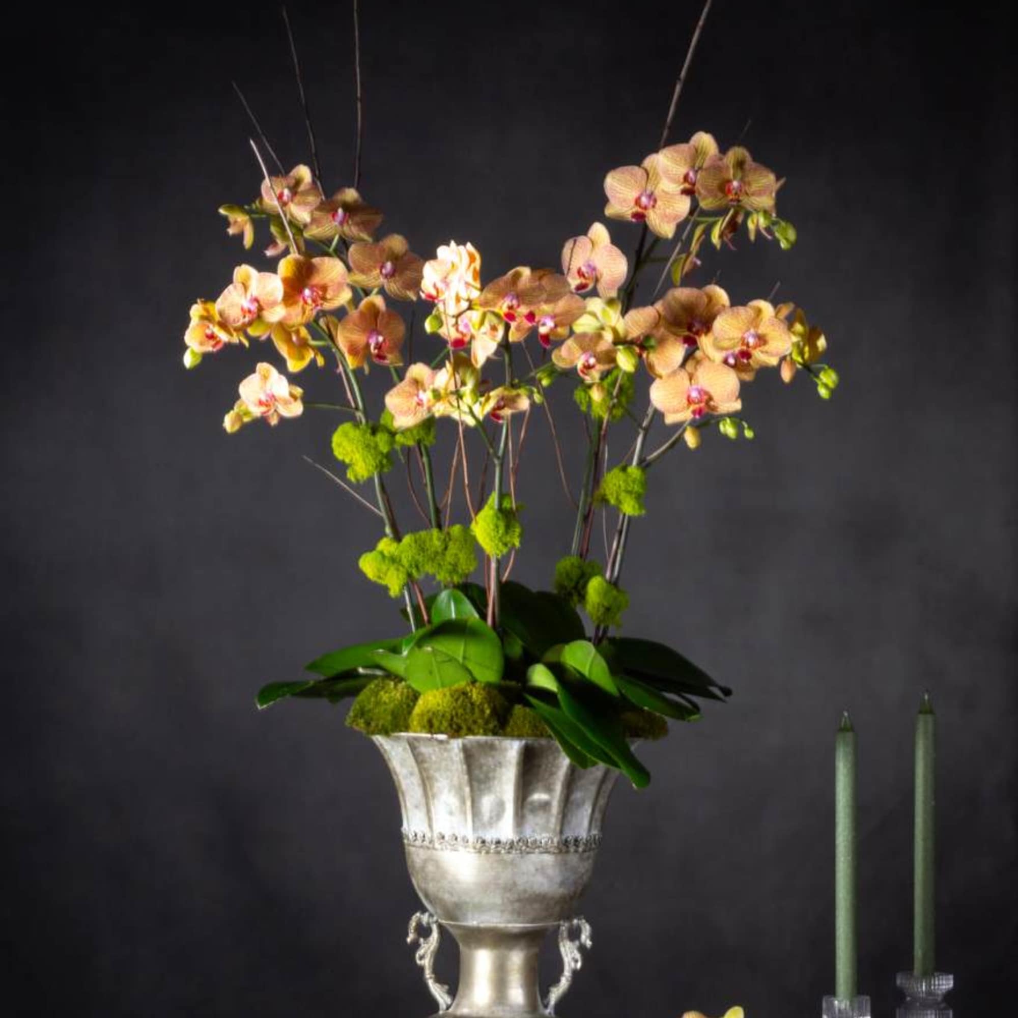 5 stems of exotic peach orchids in a pewter pedastel bowl