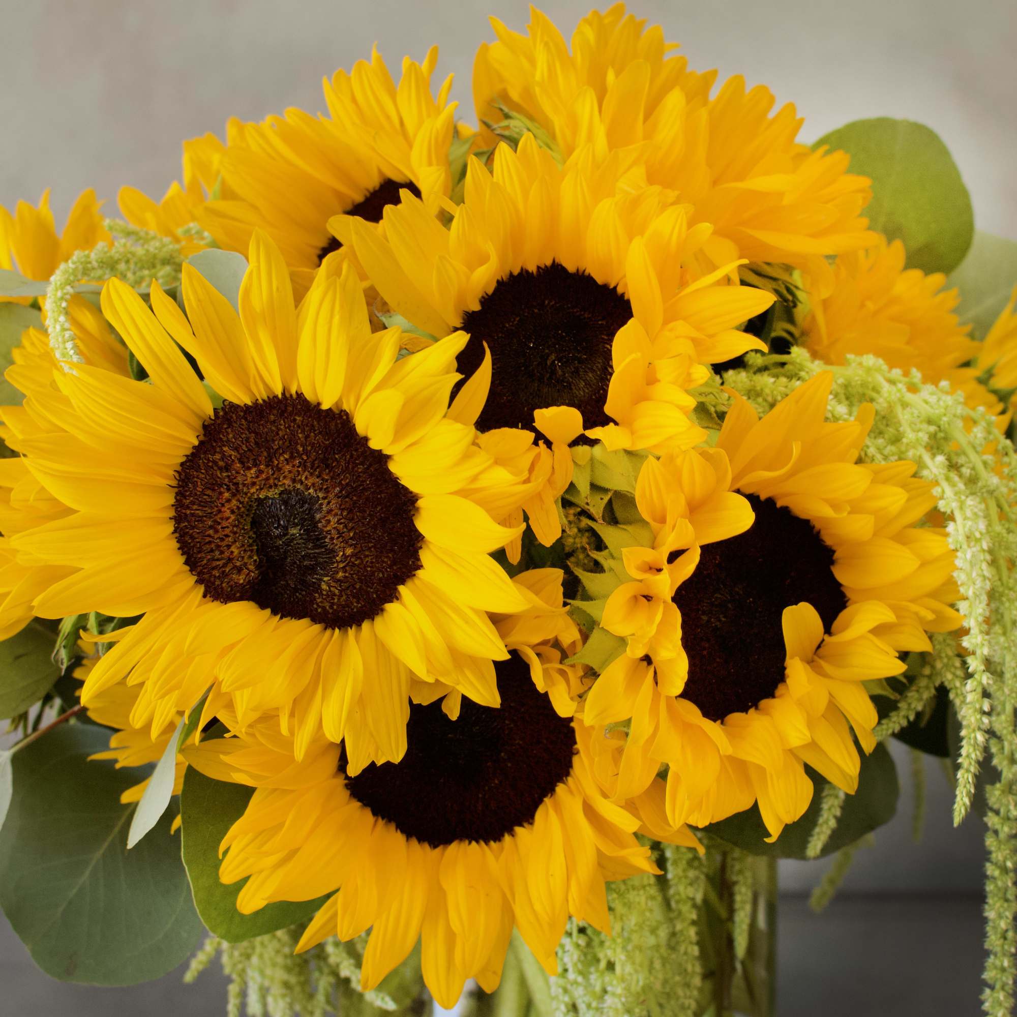 A bright arrangement of Sunflowers ! A classic with a beautiful green