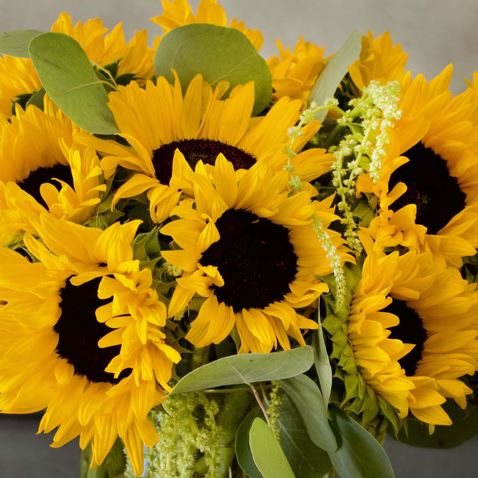 A bright arrangement of Sunflowers ! A classic with a beautiful green