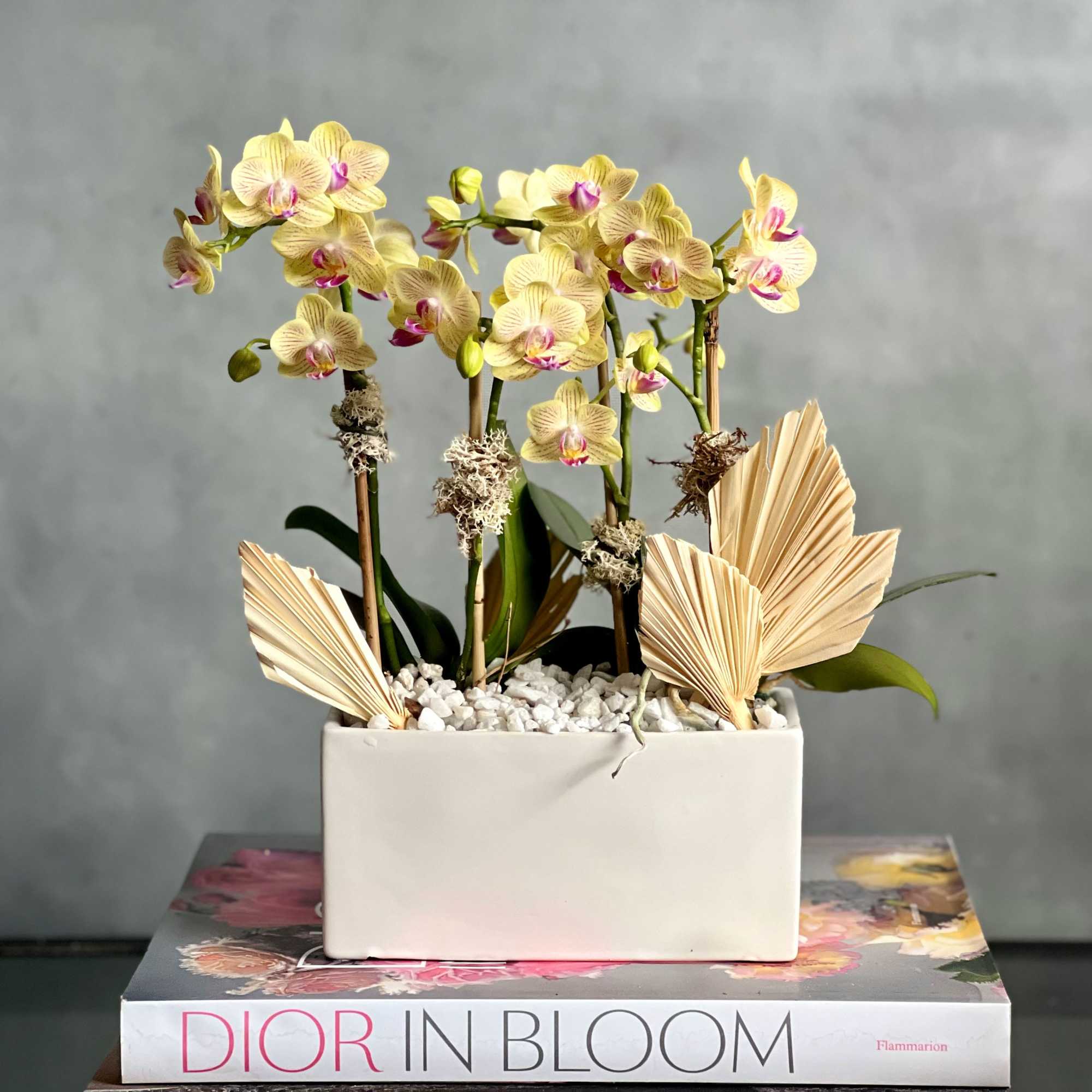 Our new addition to our potted orchids are ready to bring in