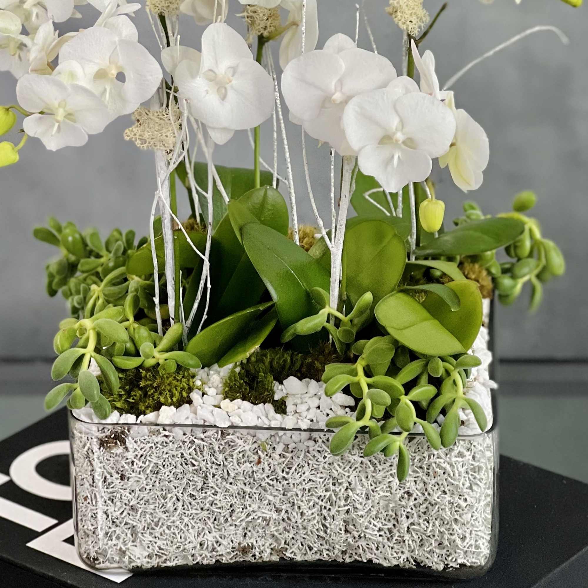 5 White Orchids in a Modern Low profile Square glass container decorated