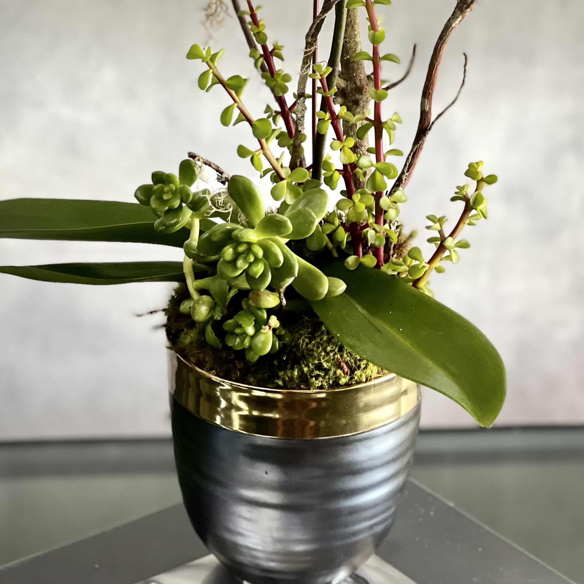 Tall and beautiful purple orchid presented in a matte black with gold