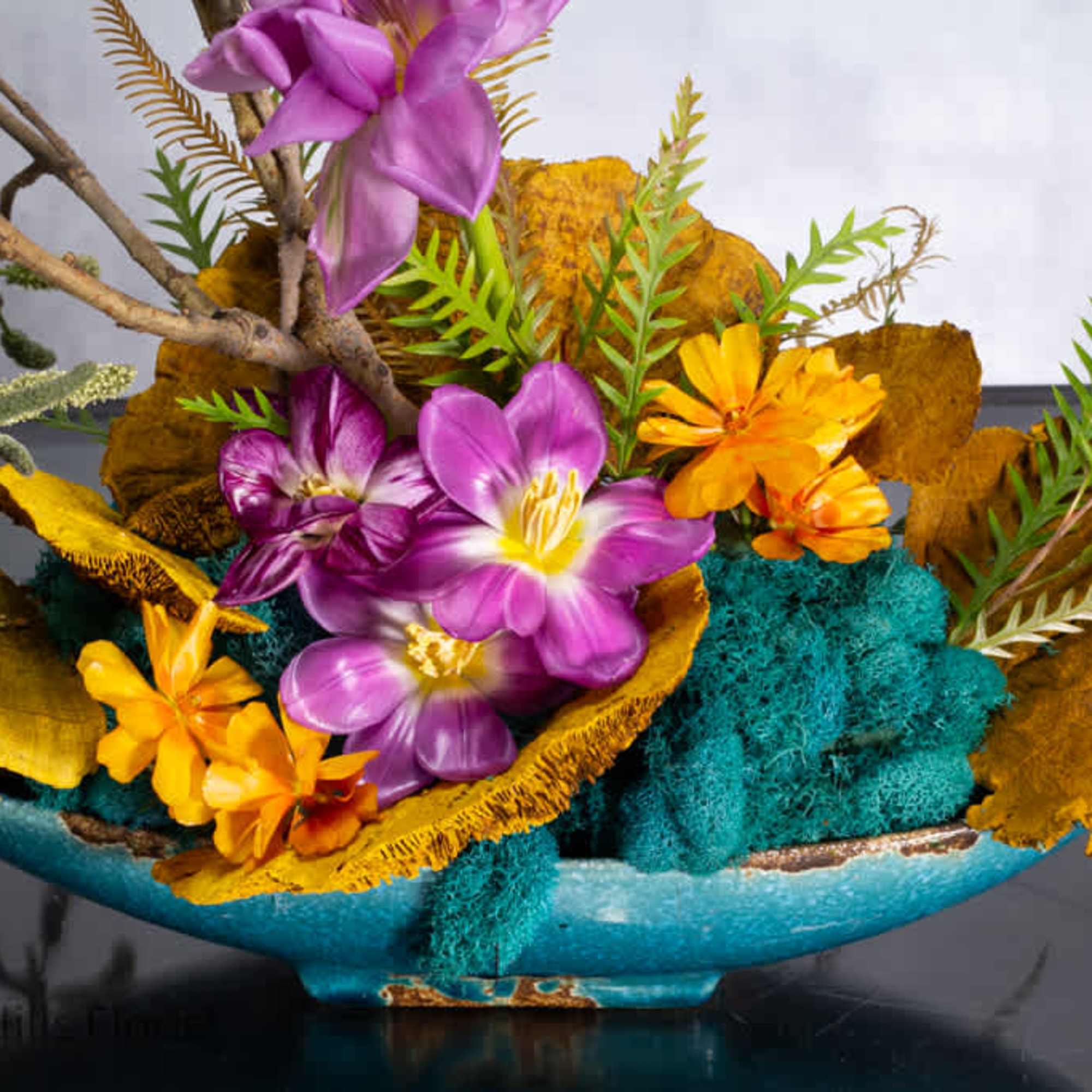 Imagine a captivating scene where the untamed beauty of nature meets the