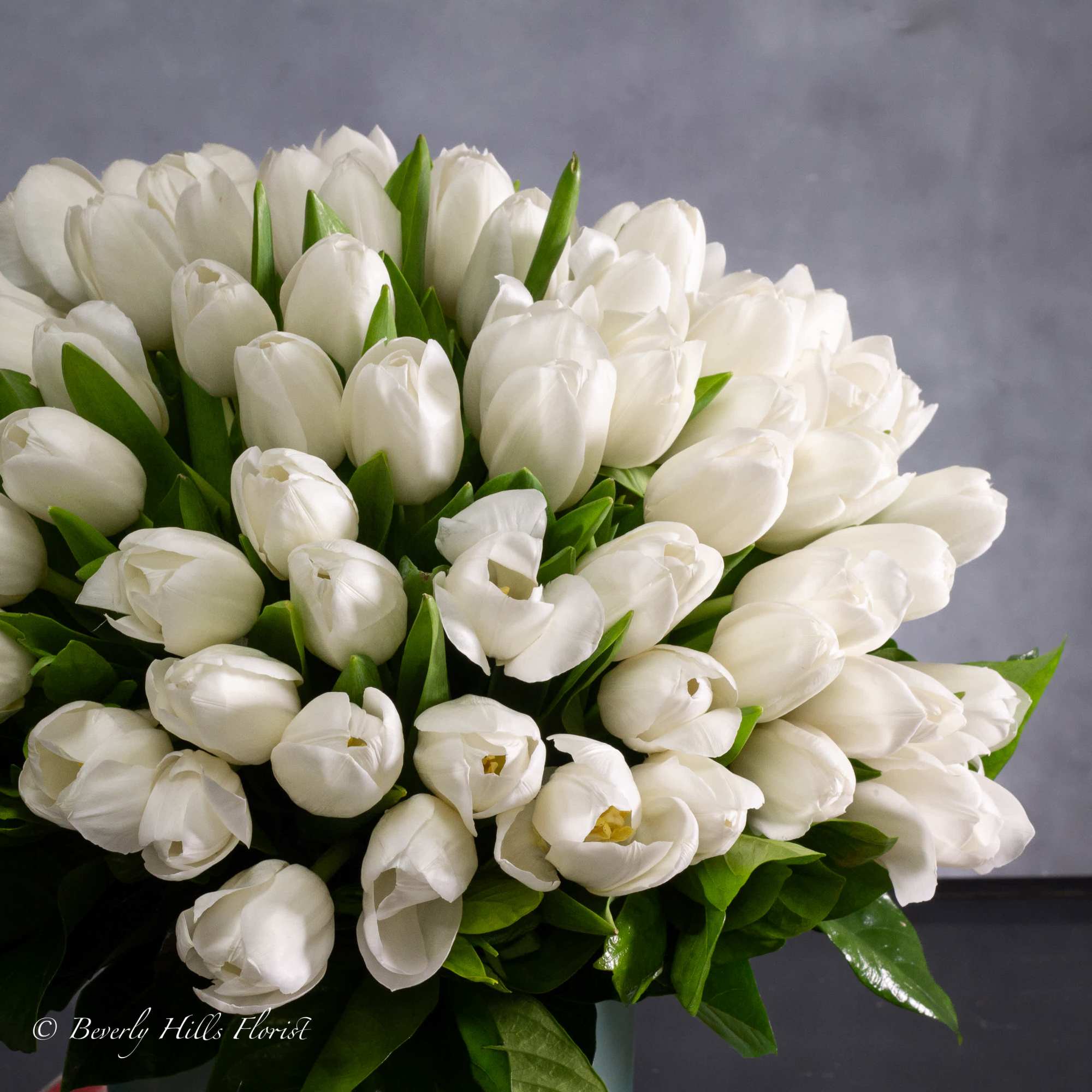 Delve into the symbolism and beauty of 6&quot; aqua Container and over