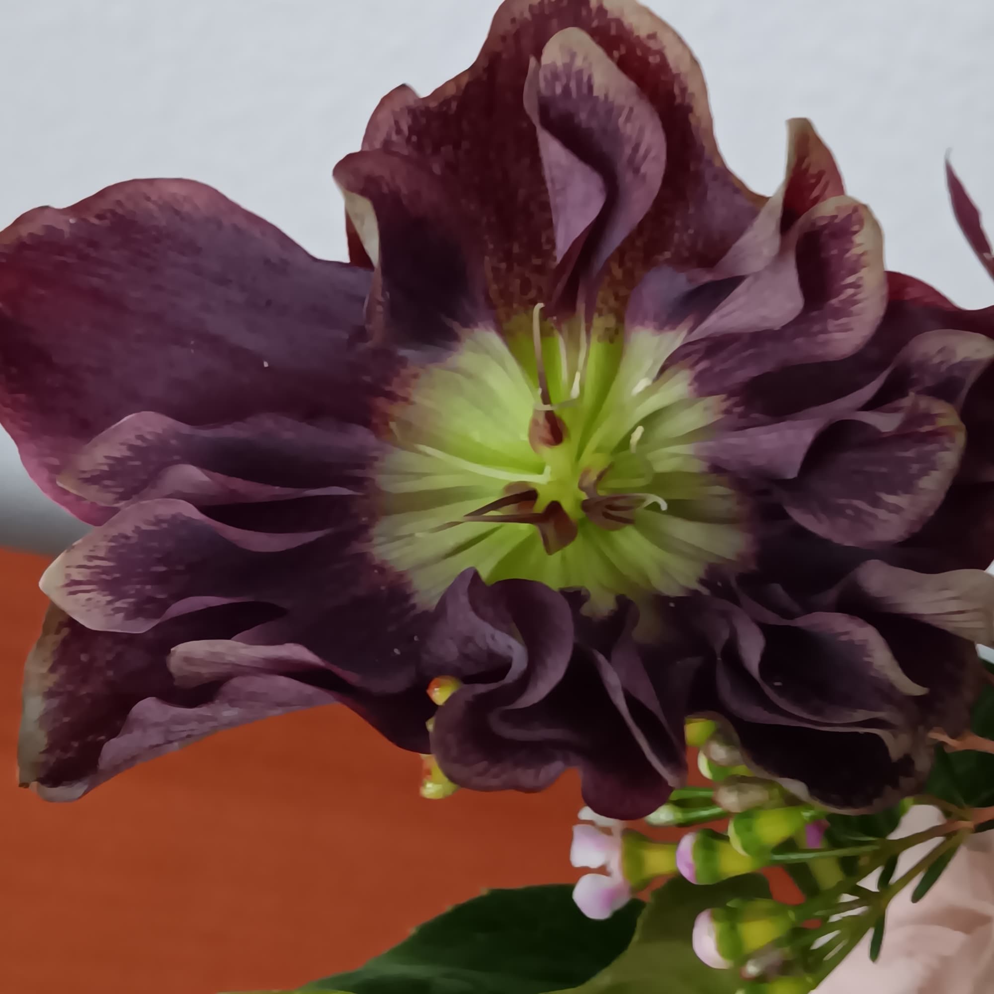 PASTEL TRADITIONS - A FLORIST ORIGINAL
Celebrate new life with fresh spring colors