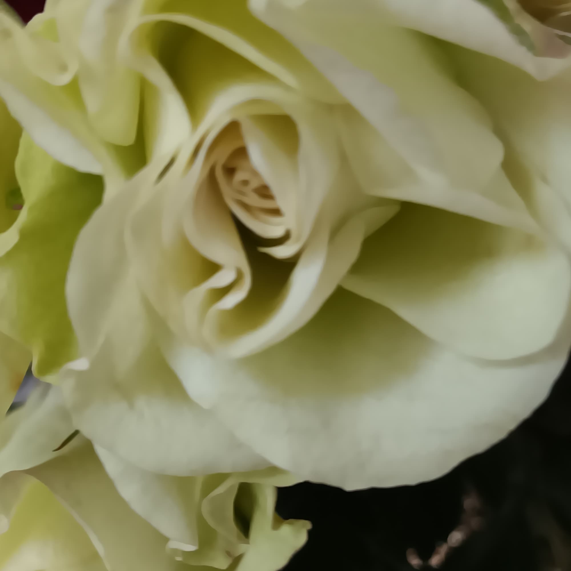 The Birthday Brights Bouquet is a true celebration of color and life