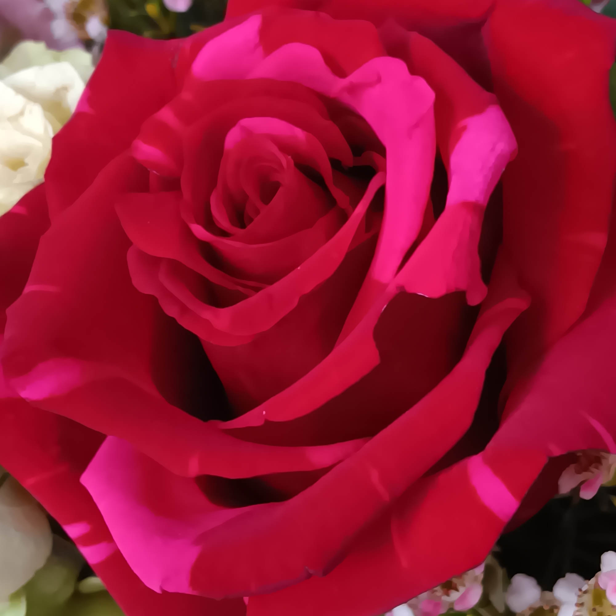 The Birthday Brights Bouquet is a true celebration of color and life