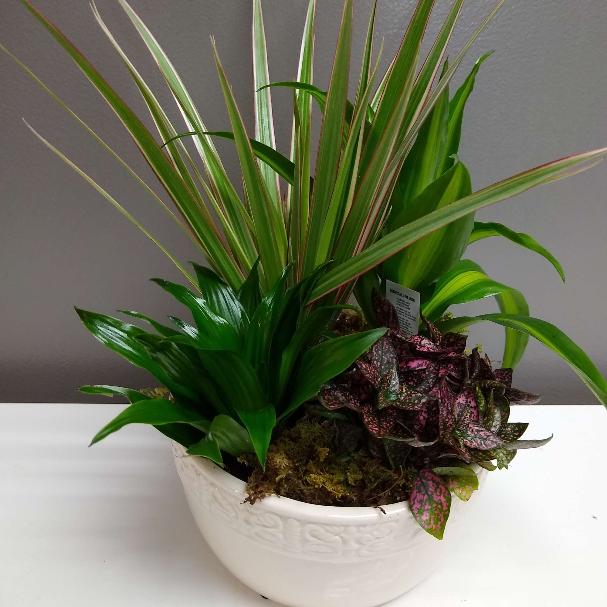 This low bowl filled with living plants will also carry comfort and