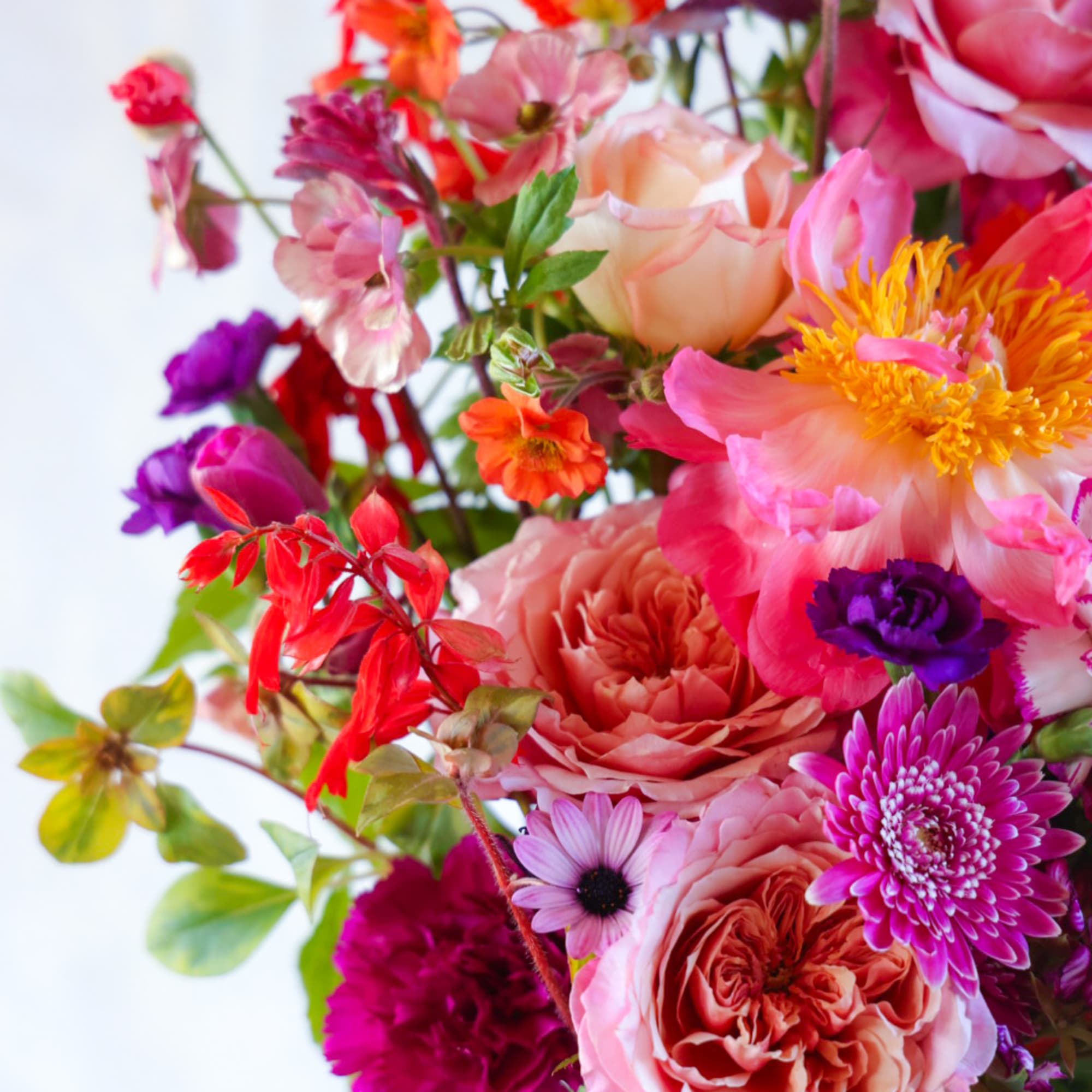 The Sizzler is Stacy&#039;s pick of the freshest most beautiful summer flowers
