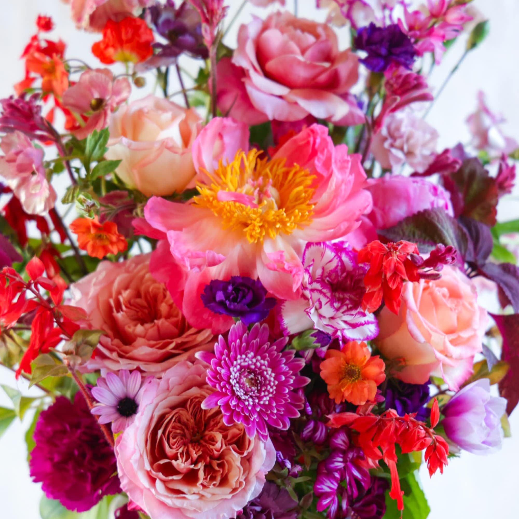 The Sizzler is Stacy&#039;s pick of the freshest most beautiful summer flowers