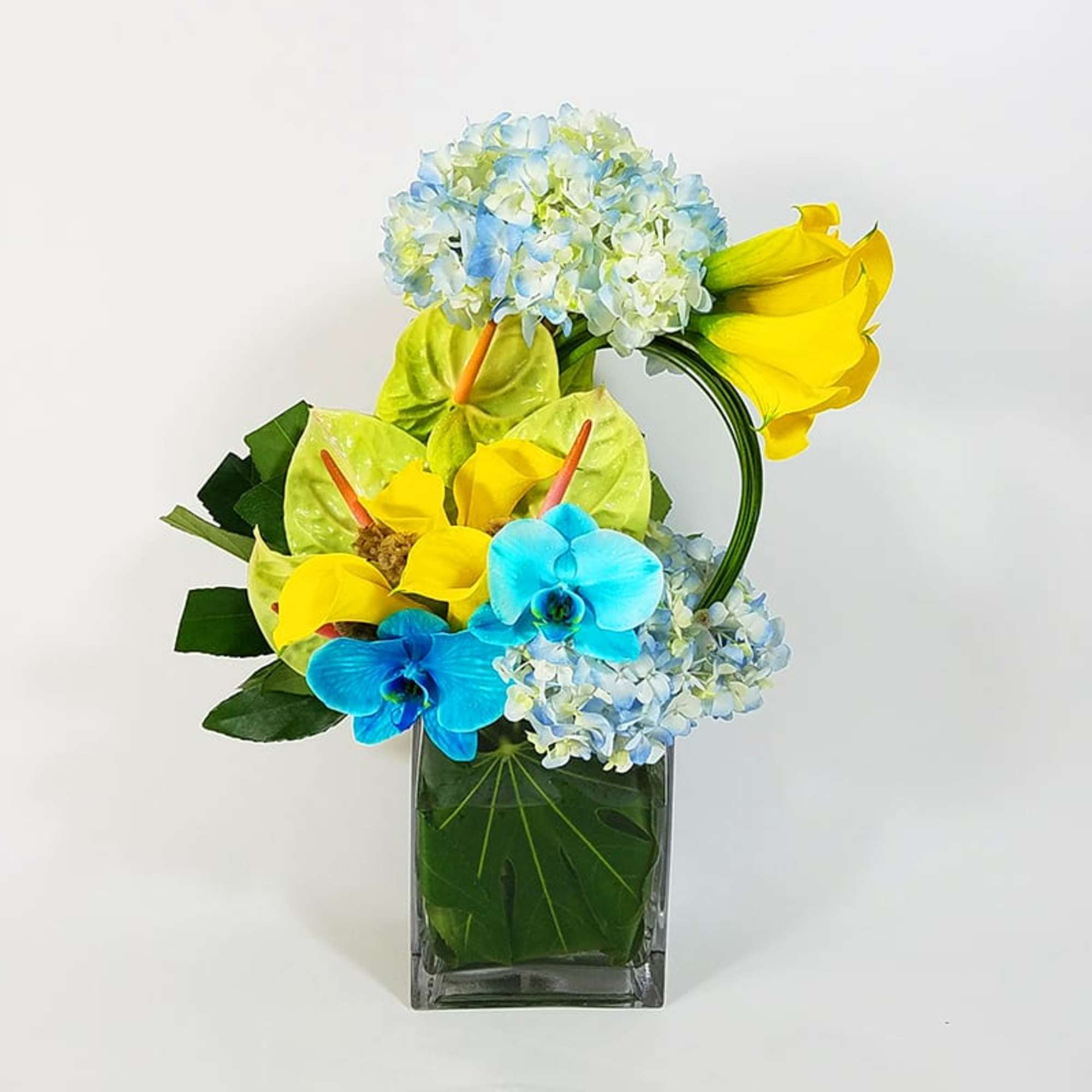 Modern Floral Design in a Glass Vase with Hydrangeas, Anthuriums, Mini-callas, Greens