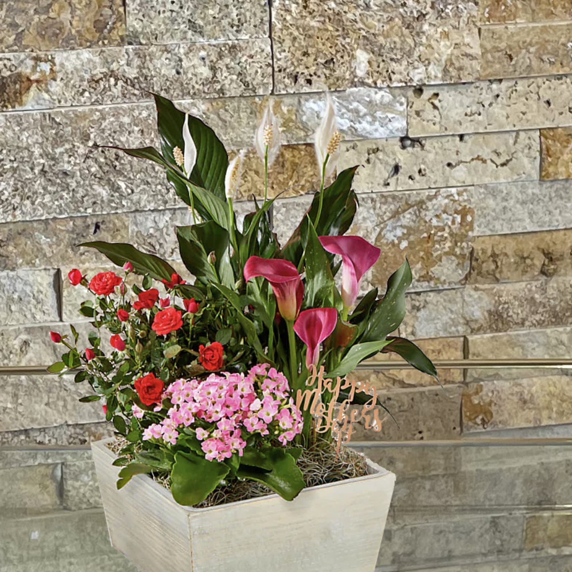 Send peace someone's way with this elegant, eye-pleasing arrangement of multiple flowering Send peace someone's way with this elegant, eye-pleasing arrangement of multiple flowering