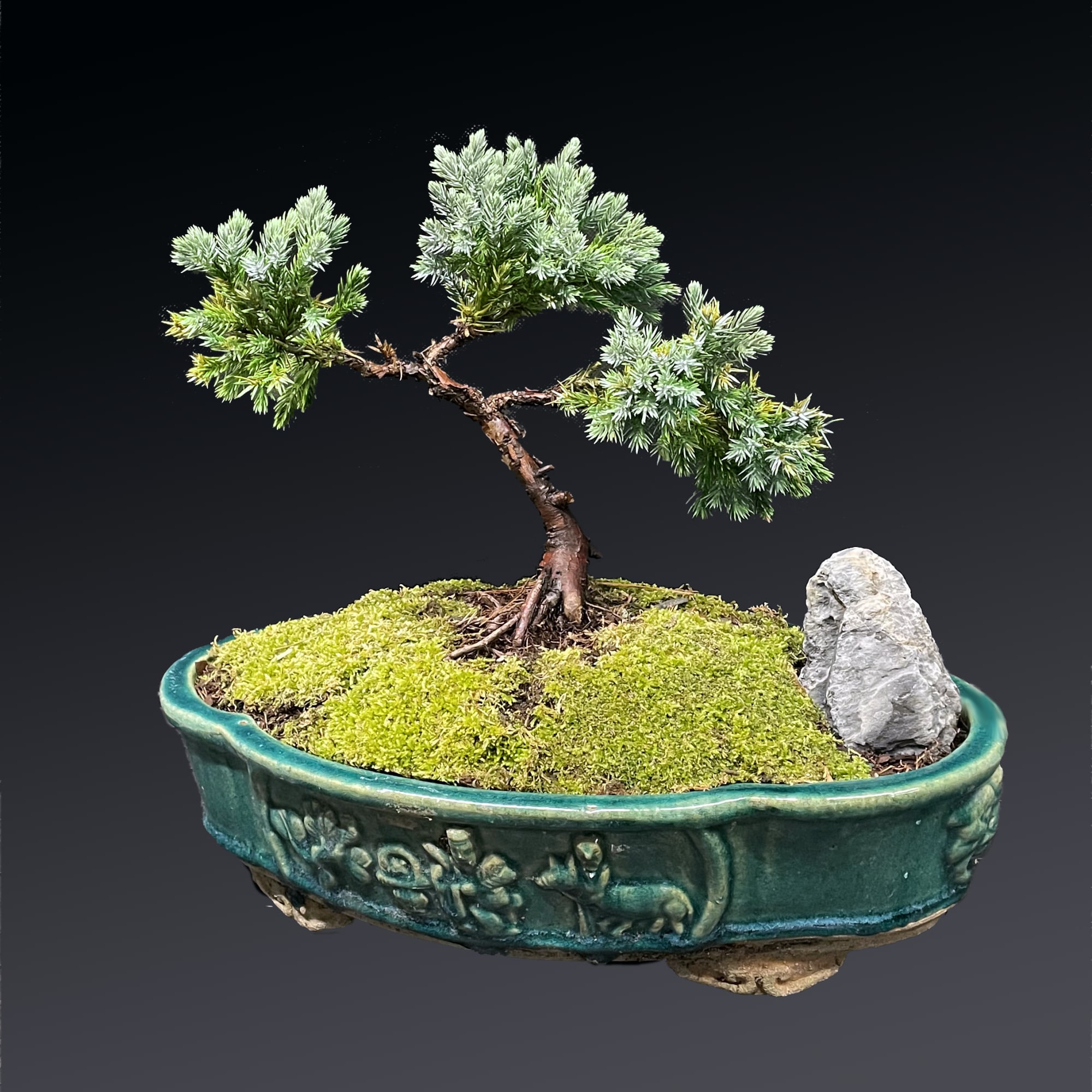 シルクスクリーン　JOHN BOTZ ジョン ボッチ　Zinnia Garden シルクスクリーン JOHN BOTZ ジョン ボッチ Zinnia Garden 版画
