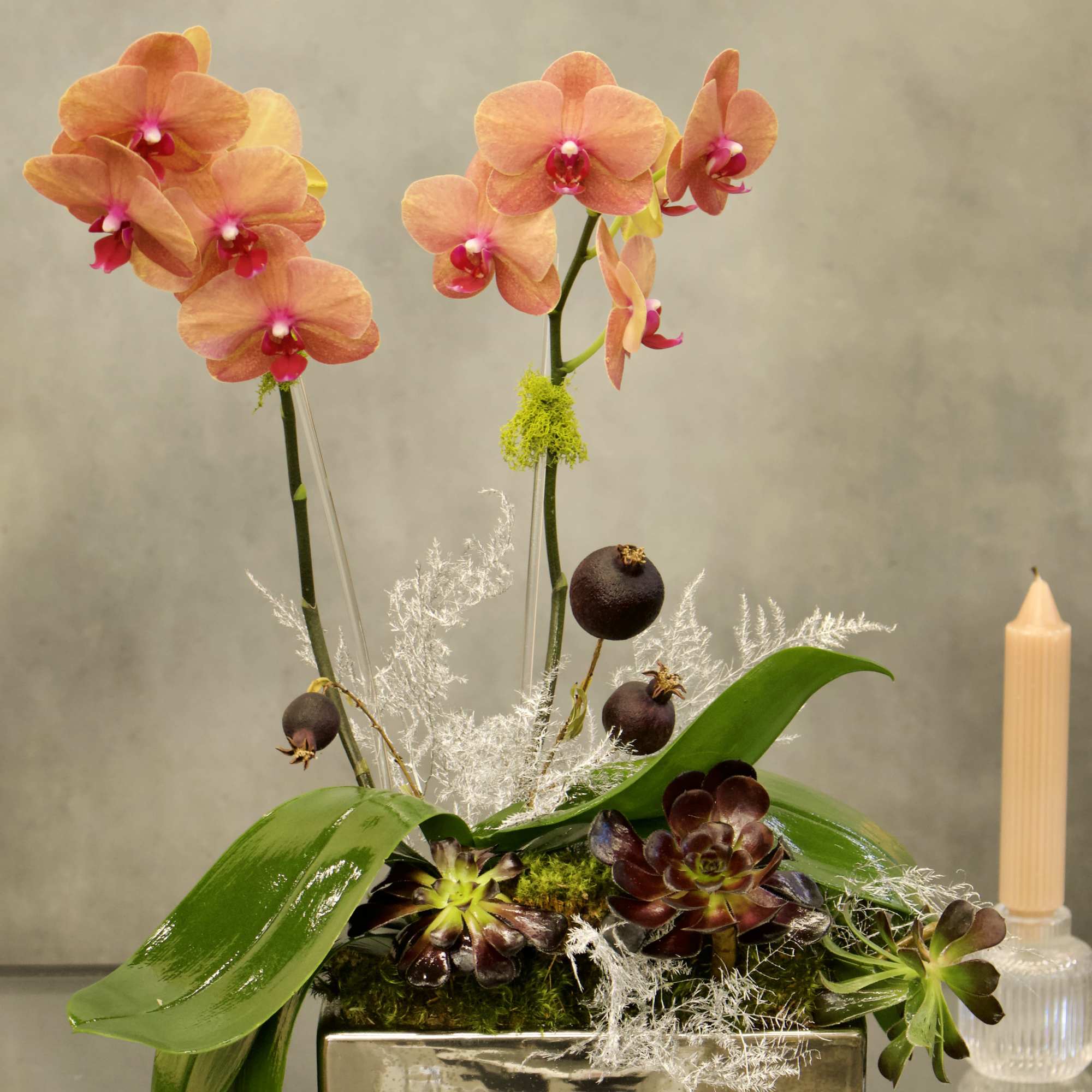 Welcome the fall season with this mini peach orchids nested in the
