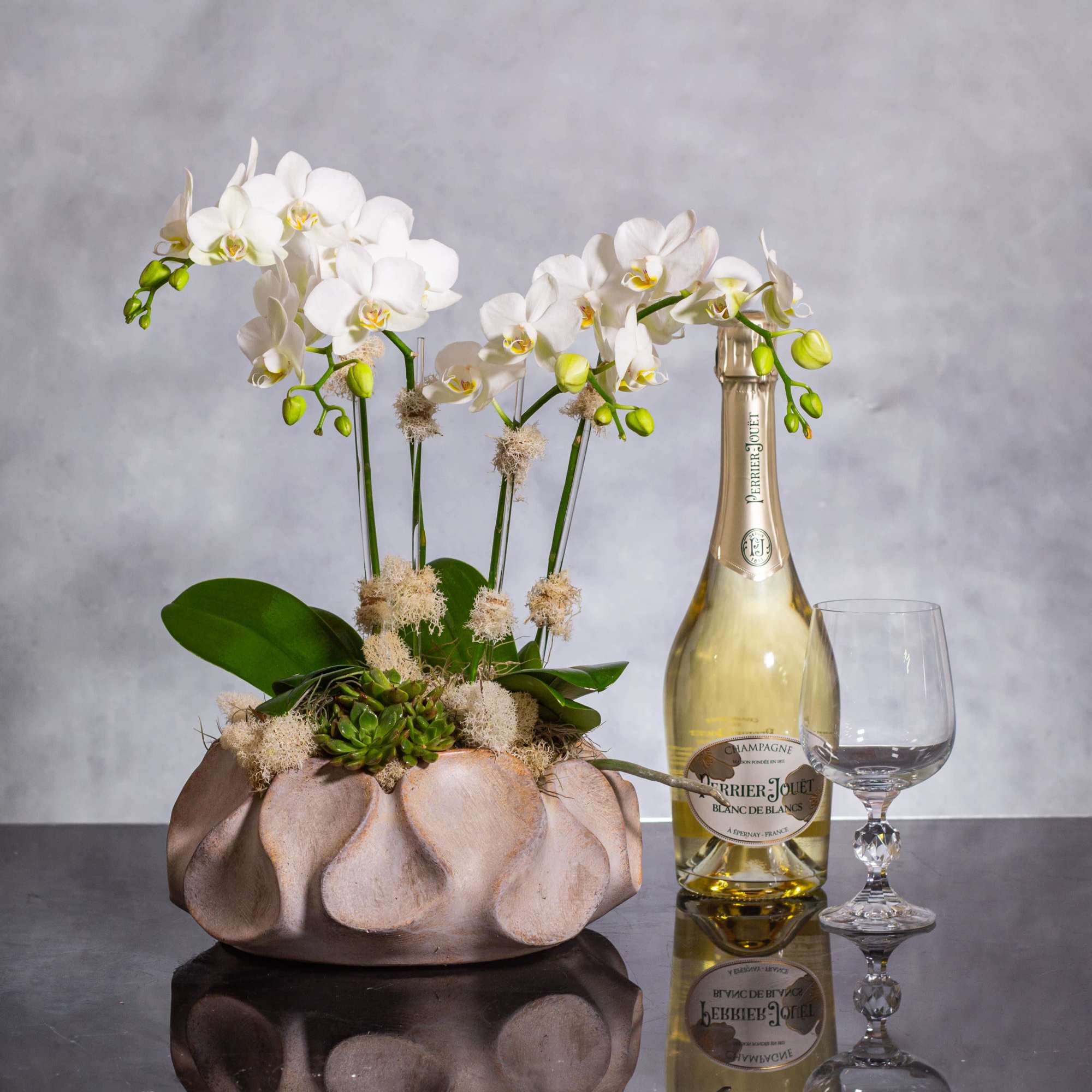 Delight in the exquisite beauty of our Orchid Splendor arrangement, featuring Phalaenopsis