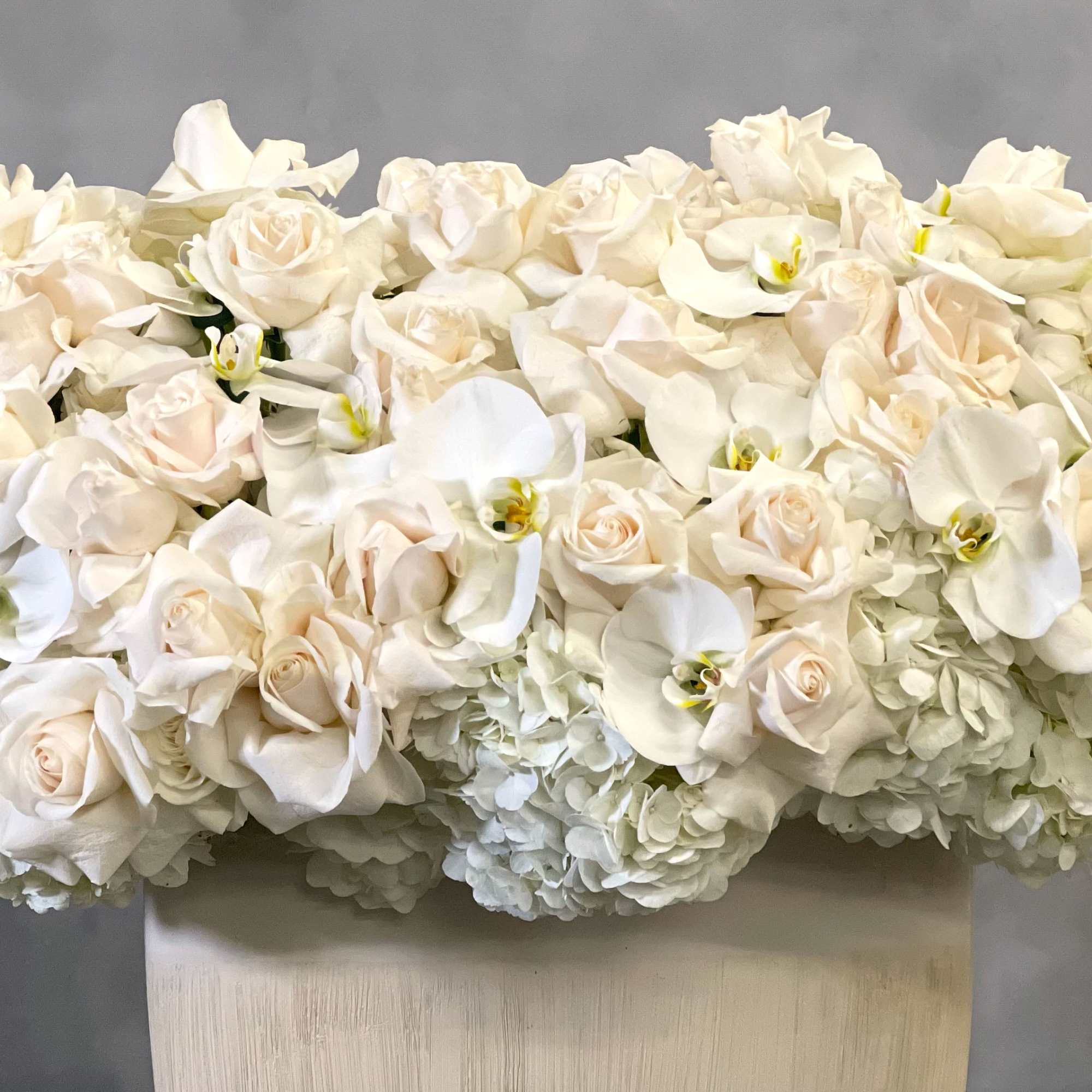 Beverly Hills Florist presents these stunning, over 100 specialty white Ecuadorian, orchids